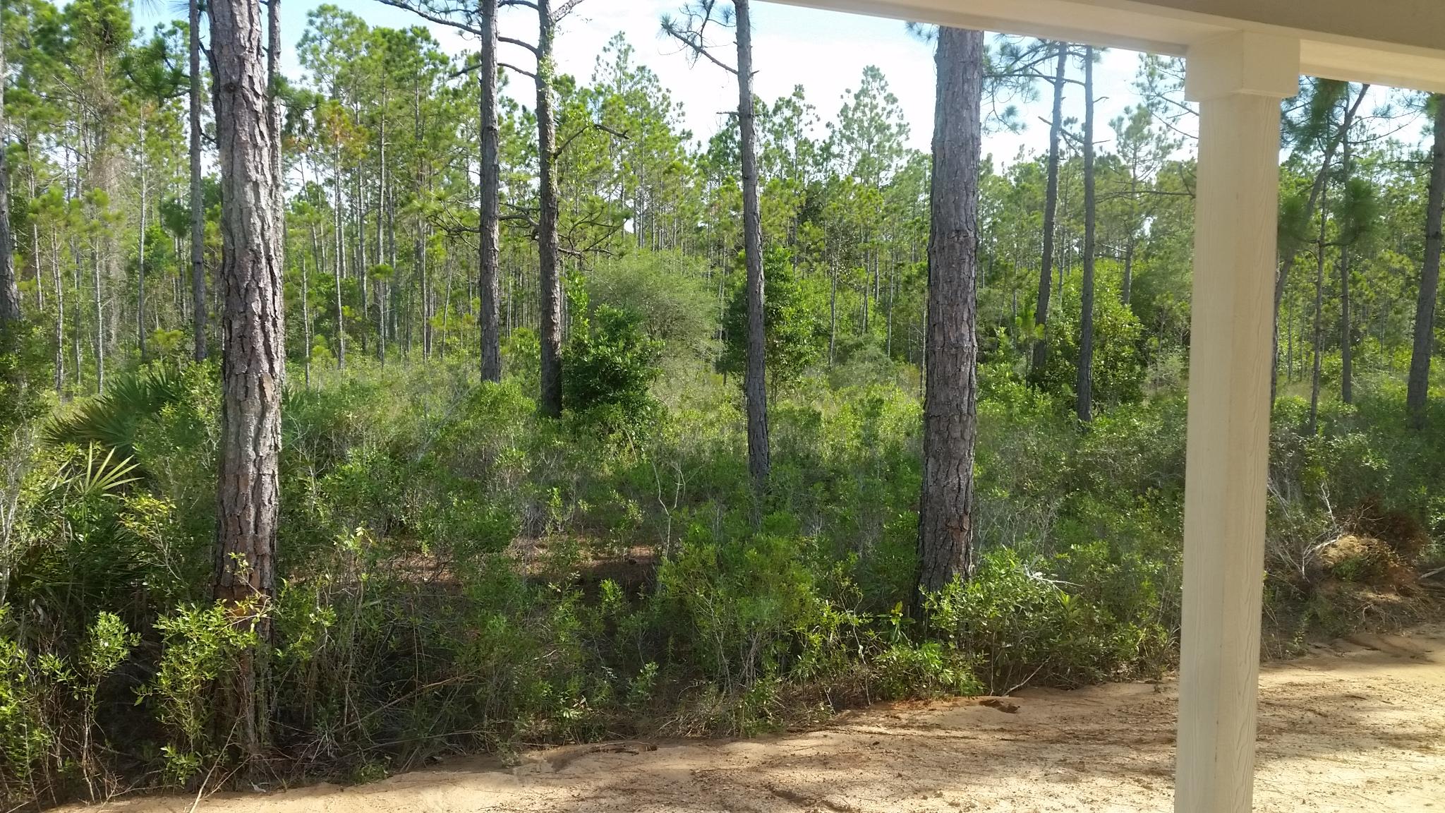 Topsail Walk - Residential