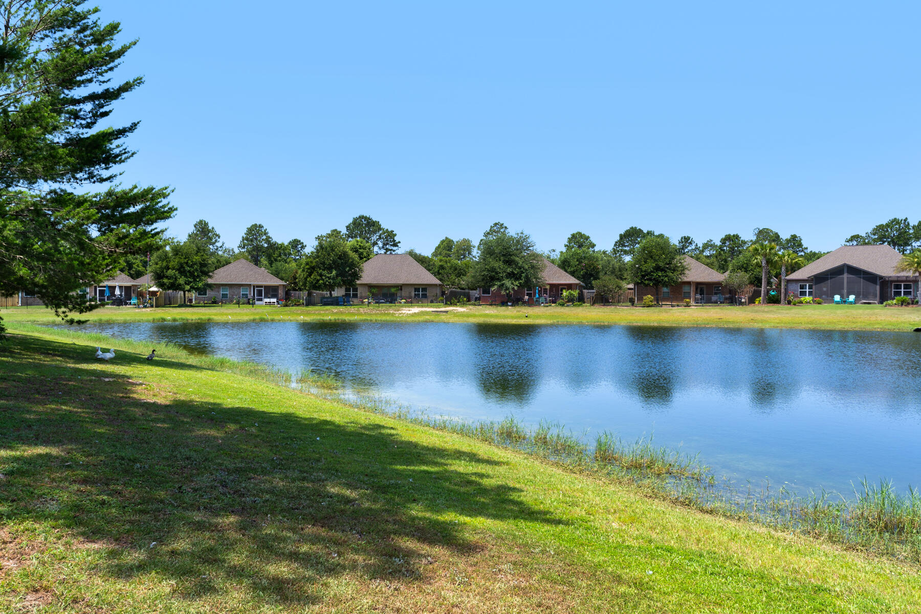 Hammock Bay - Residential Lease