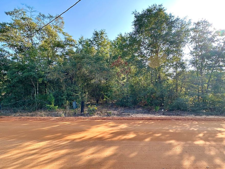 Tucked away in a peaceful, natural setting, this 80 x 121 wooded lot in DeFuniak Springs, FL is ready to welcome a new home and the family who will make it their own. Offering a beautiful blend of privacy and possibility, the parcel provides the perfect canvas for a custom-built home, modular residence, or mobile home. Mature trees create a serene backdrop, inviting you to design a retreat that feels both secluded and connected to nature. Conveniently located with easy access to nearby amenities and the charm of downtown DeFuniak Springs, this property delivers the best of quiet living without sacrificing convenience. If you're dreaming of a forever home or seeking a smart investment, this inviting wooded lot is full of promise. Call today for details and start imagining what's possible!
