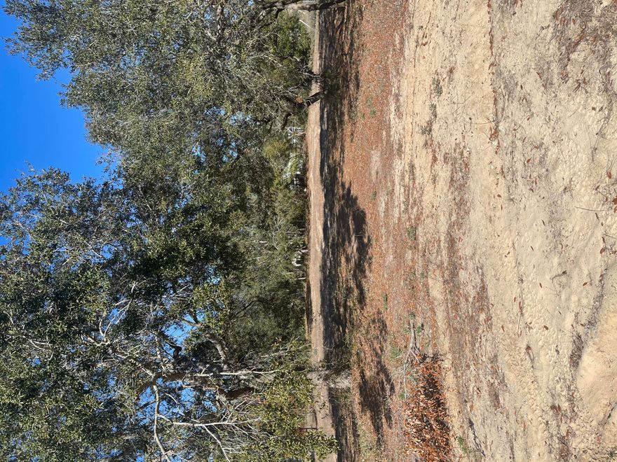 Entered for comp purposes only.