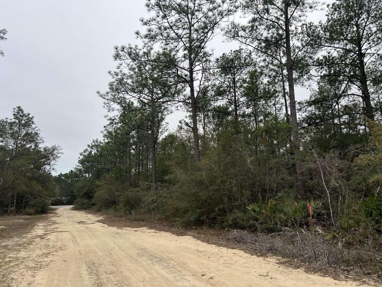 Oakwood Hills - Land