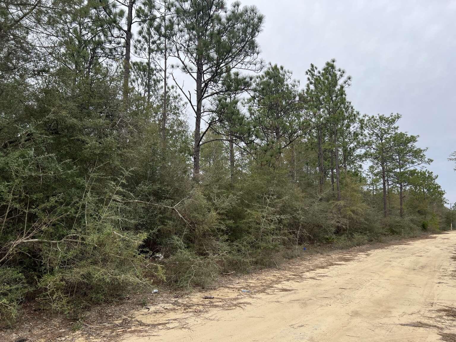 Oakwood Hills - Land