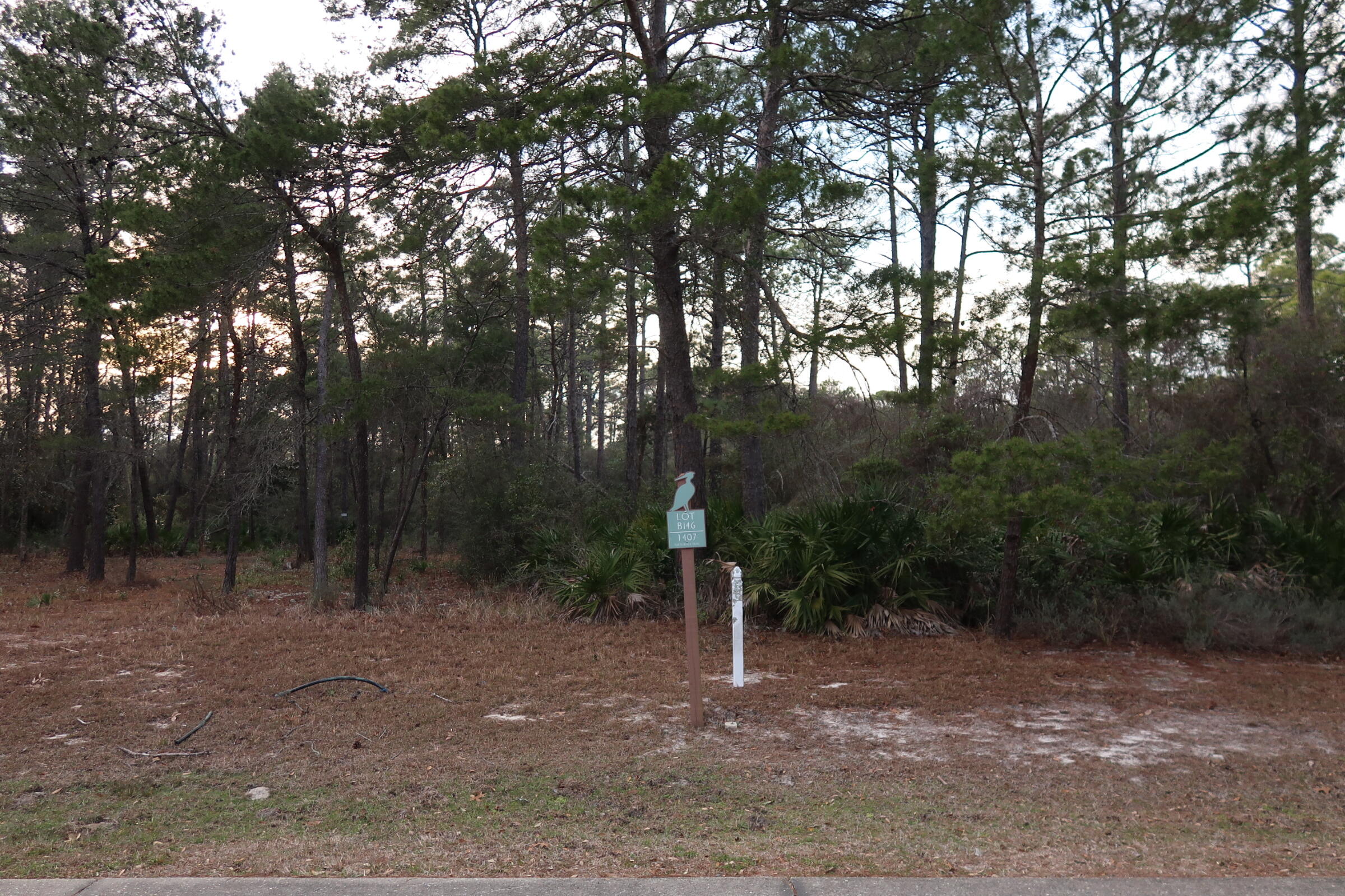 WILD HERON PHASE I - Land