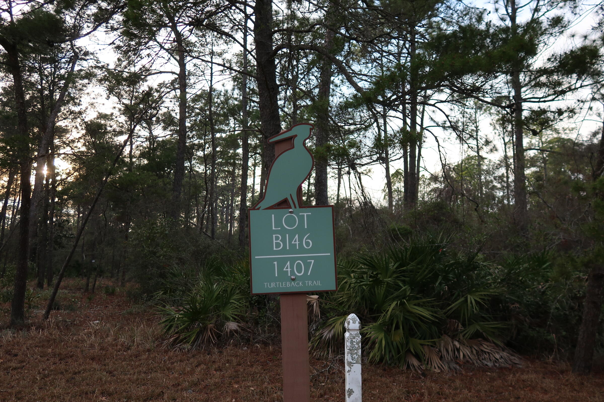 WILD HERON PHASE I - Land