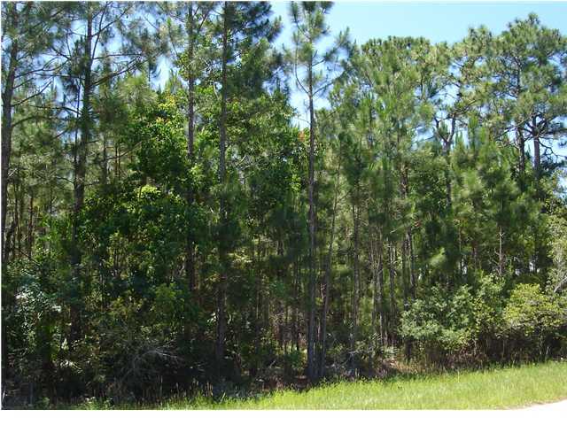 WOODLAND BAYOU ESTATES - Land