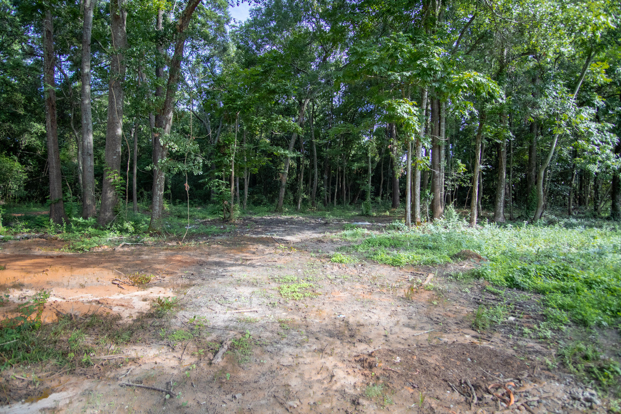 FLETCHER ADDITION - Residential