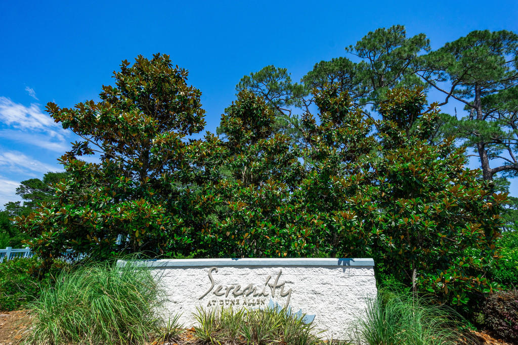 SERENITY AT DUNE ALLEN - Residential