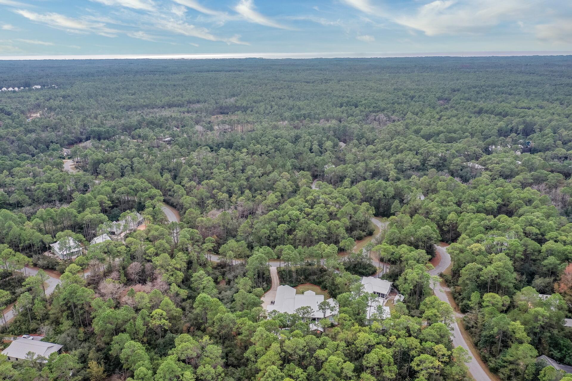 The Woods - Residential