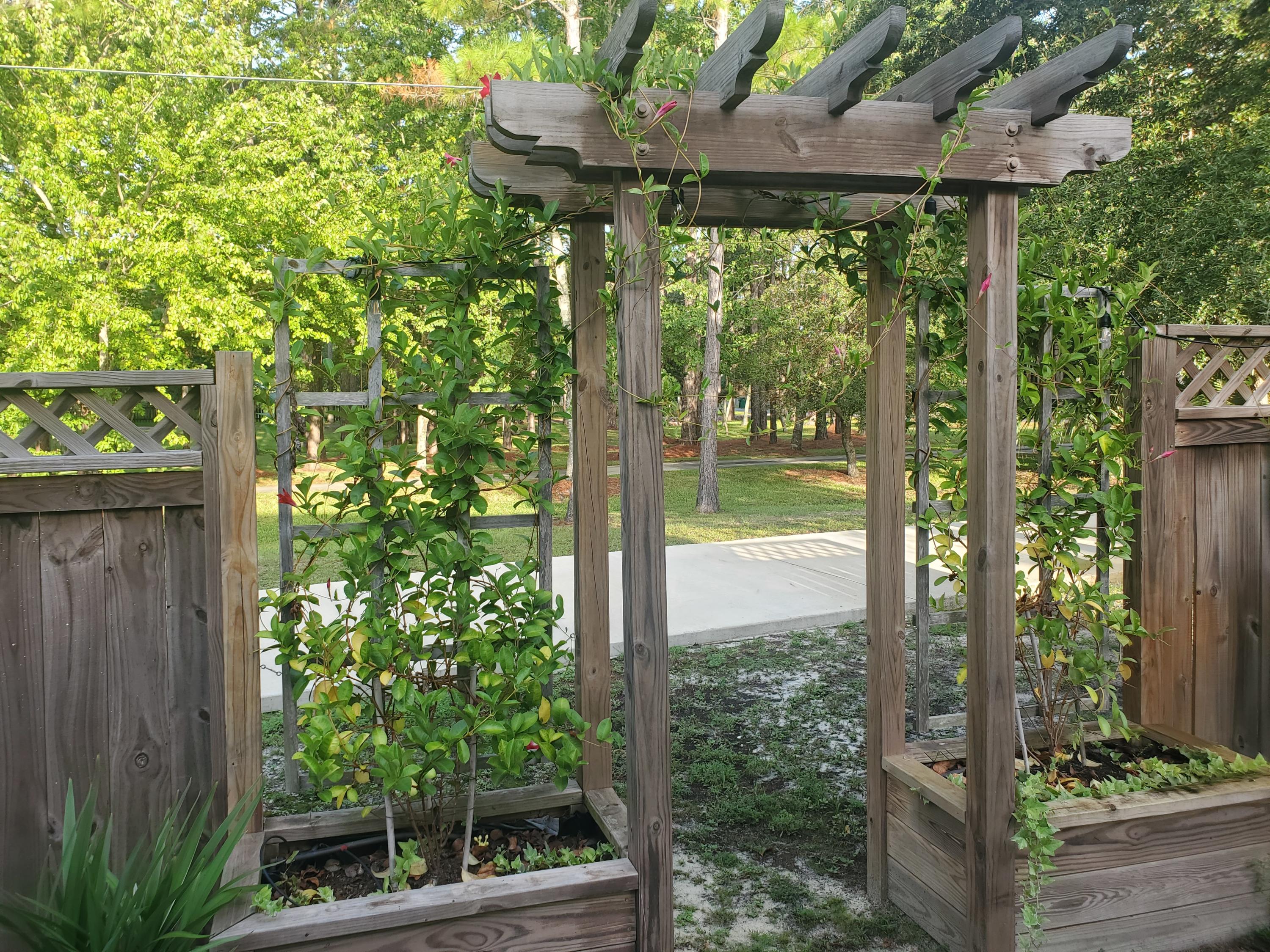 FOREST SHORES - Residential