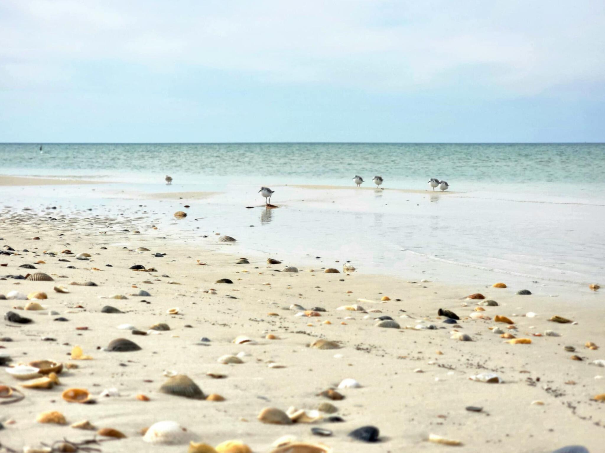 VIENTO BEACH - Land