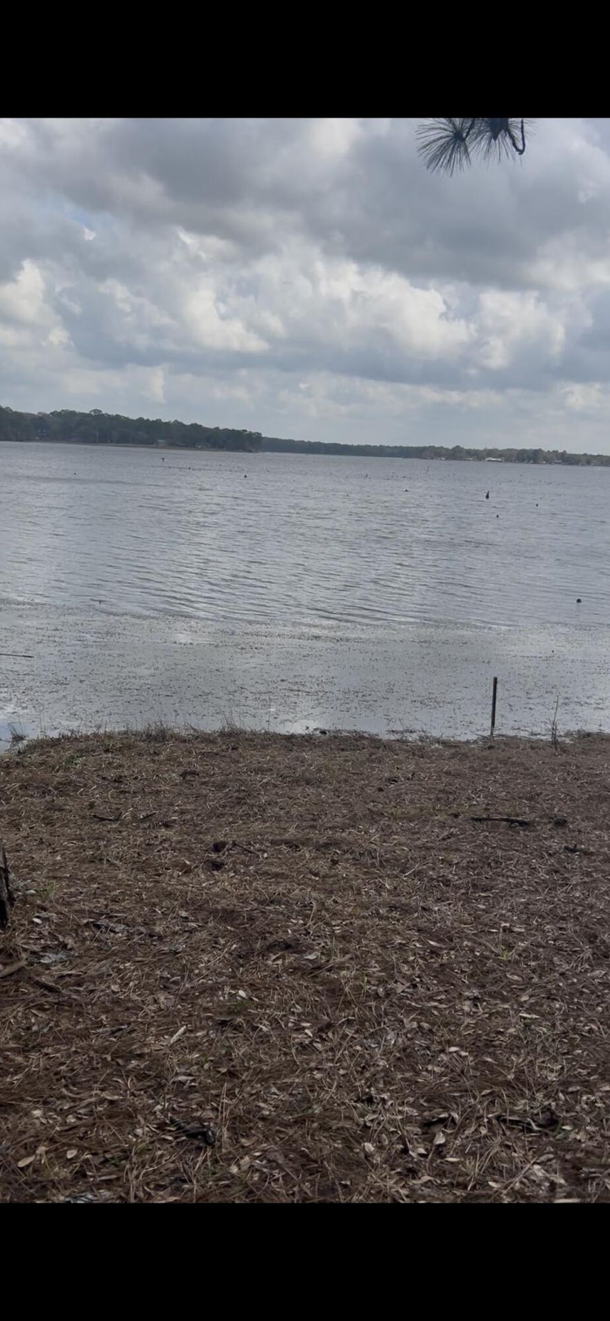 Beautiful Juniper Lake waterfront lot ready for your dream home! This 500+ acre lake is perfect for canoeing, kayaking, swimming, and is well known for excellent bass and bream fishing. Enjoy peaceful lake views from the 20' x 12' deck, ideal for morning coffee or evening relaxation. The land has been thoughtfully cleared with space for an RV while you build. Mature trees line both sides for added privacy. Features include a 12' x 12' wired metal building for storage or hobbies and a 90-foot retaining wall that enhances both function and appeal. Schedule your showing today!