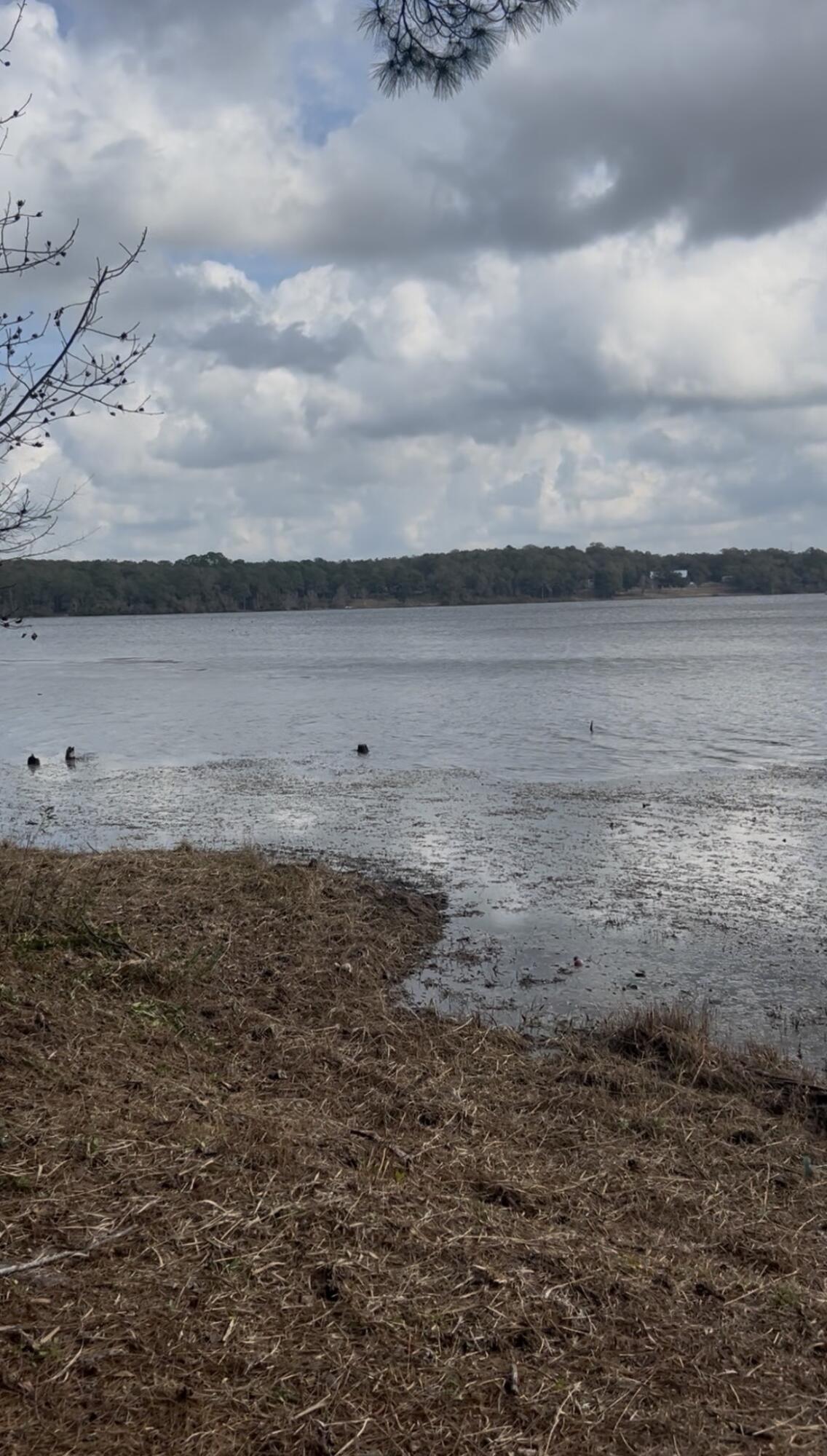 Lot 1, Block N, Juniper Lake Estates Unit 6 of Oakwood Hills - Land