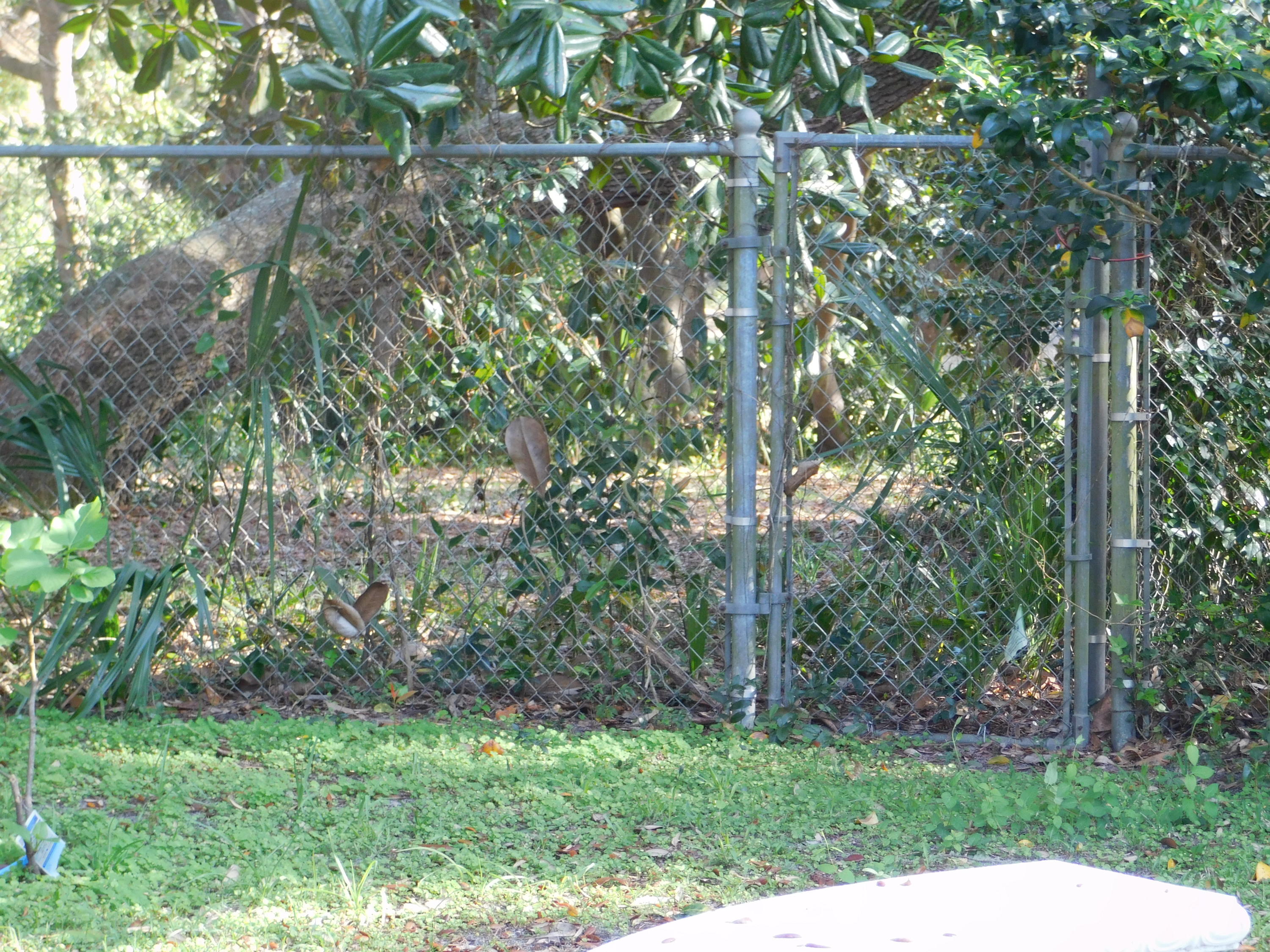 VILLA RUSS PARK - Residential