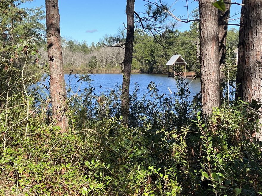 LAKEFRONT LOT - GREAT LOCATION! Enjoy waterfront views from your spacious back yard on this amazing home site. Lot purchase also includes a set of HOA approved customized plans for a 3 Bedroom and 2 Bath cottage home with a 2 car garage and screened in back porch. Tap Fees are already paid! Lafayette Creek Landing is a 148 home, gated neighborhood with a pool, nature trails, low HOA fees, and clubhouse with a fitness center. This Freeport waterfront lot is a short stroll to the popular Publix center with shopping, restaurants and more. You will be 5 minutes from the Bay and only 15 minutes from everything 30A and the beaches have to offer.