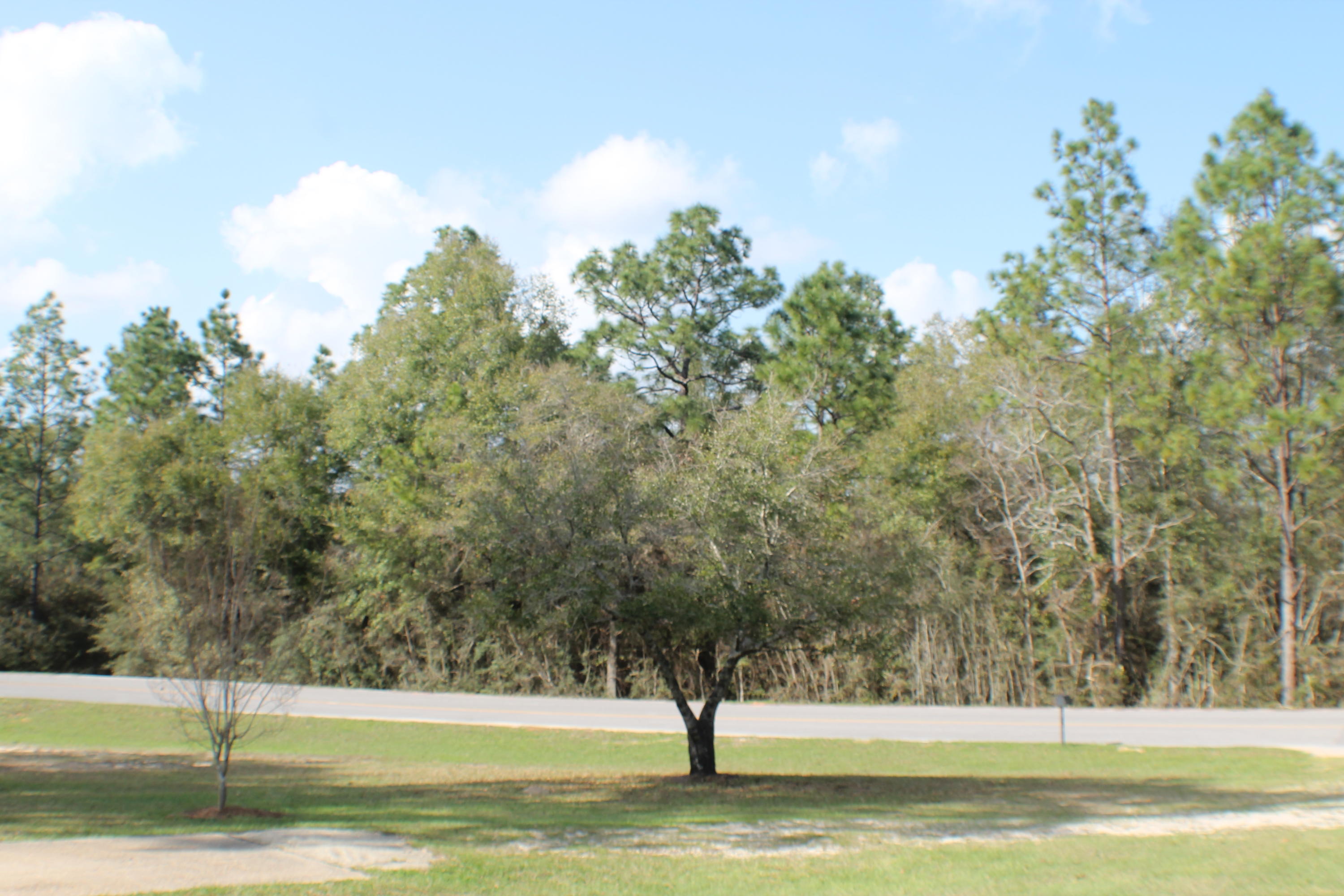 GOLDEN ACRES ESTATES - Residential