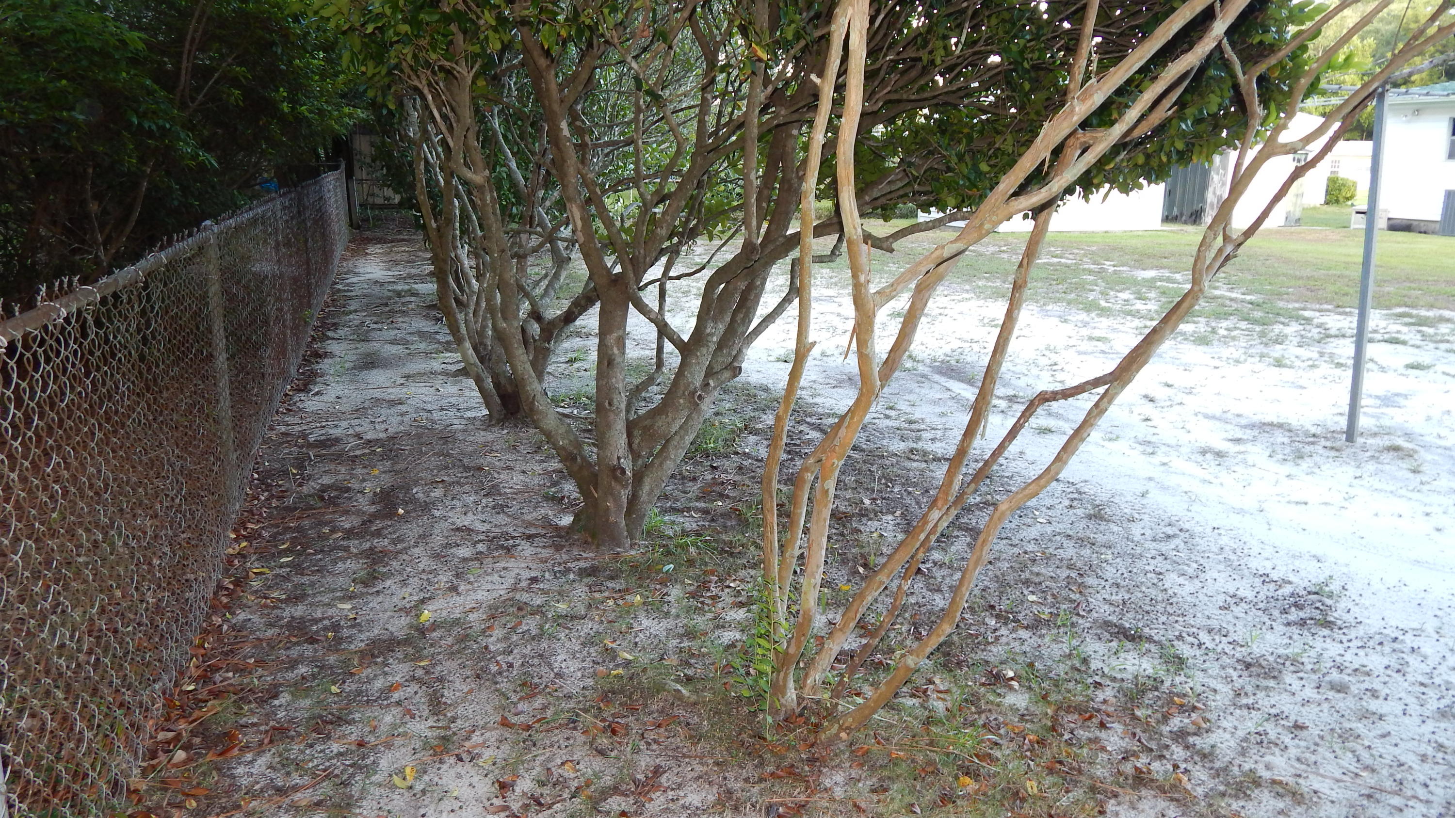 GARNIER BCH - Residential