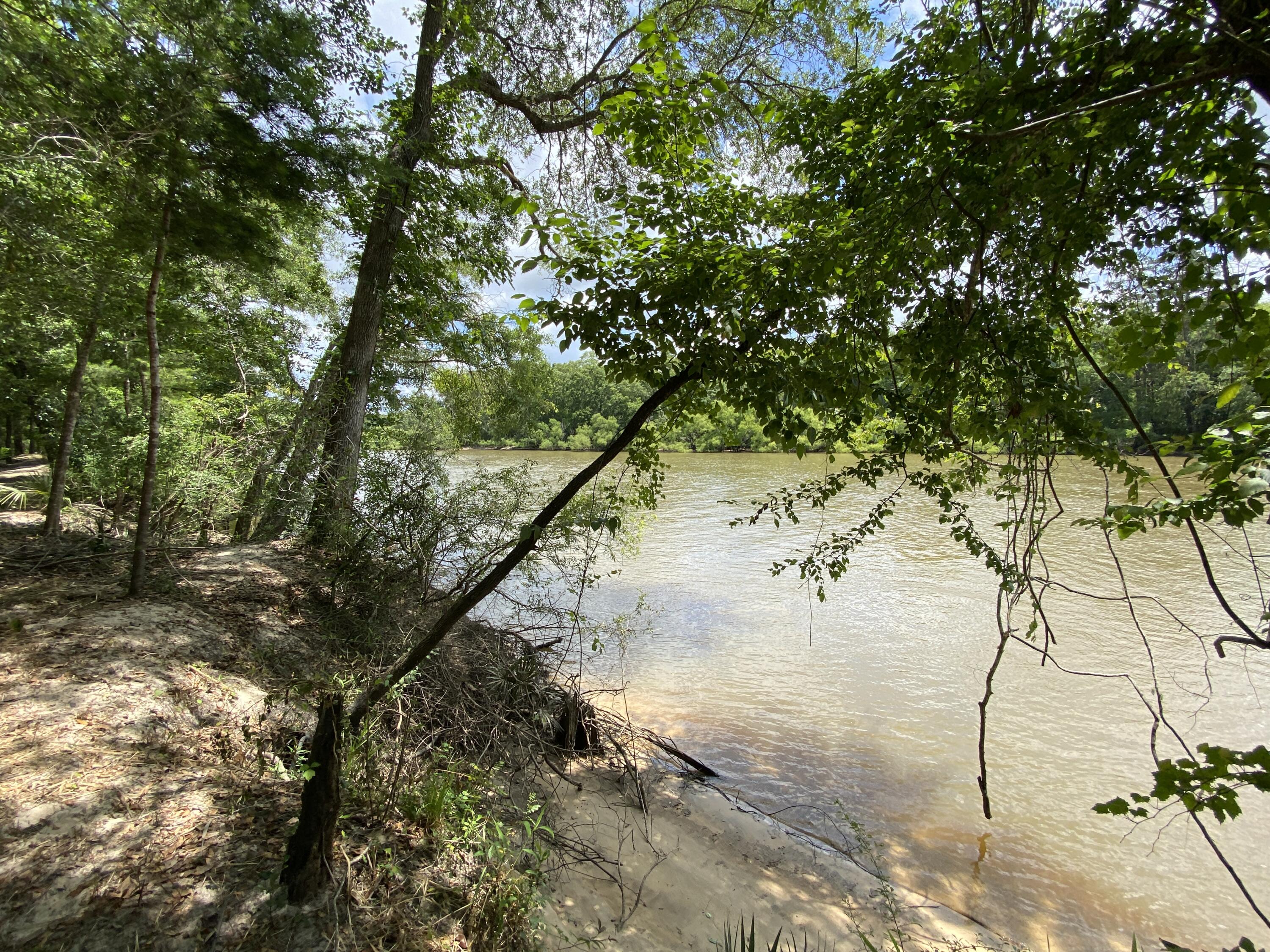 HOWELLS BLUFF - Residential