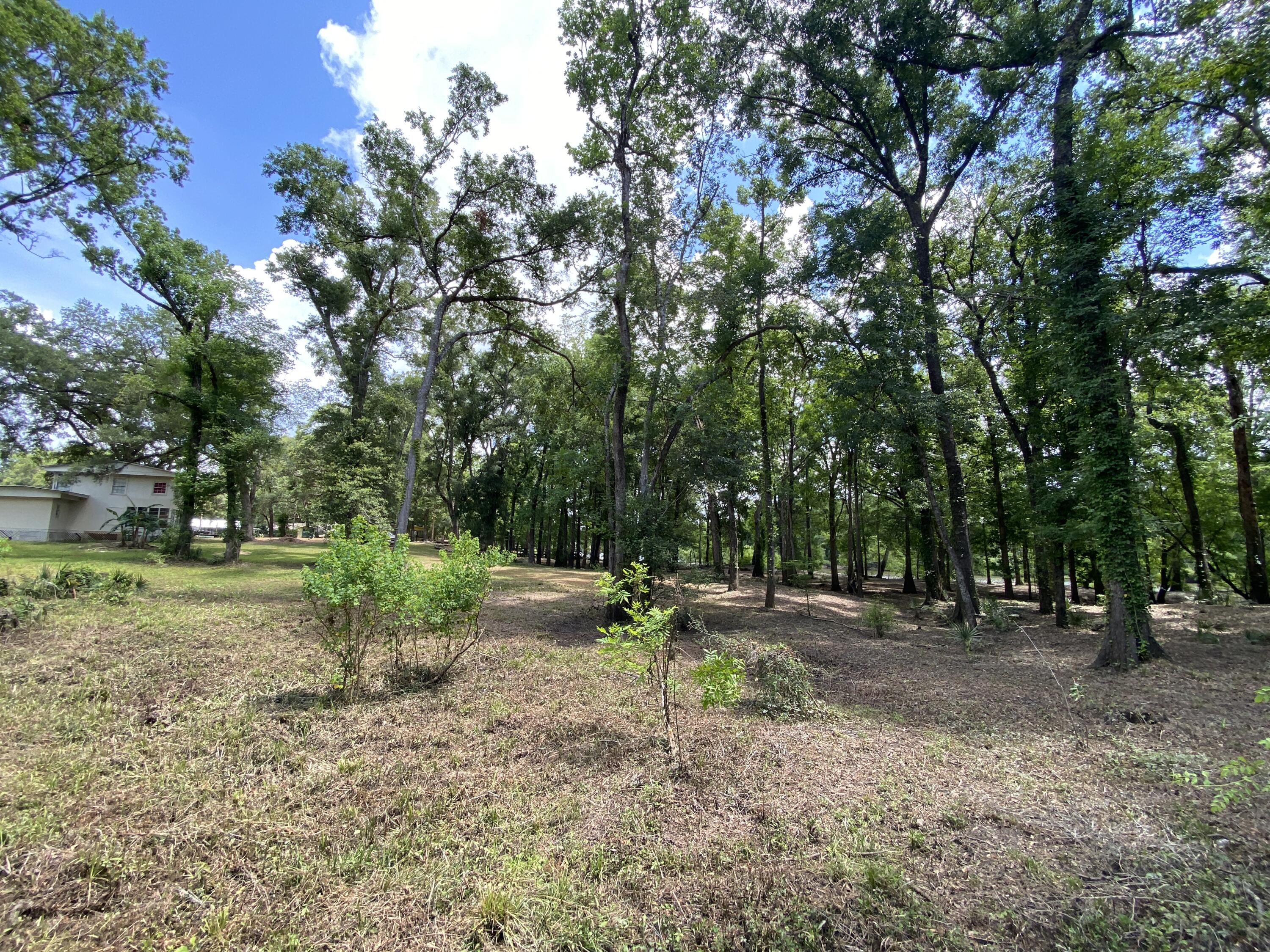 HOWELLS BLUFF - Residential