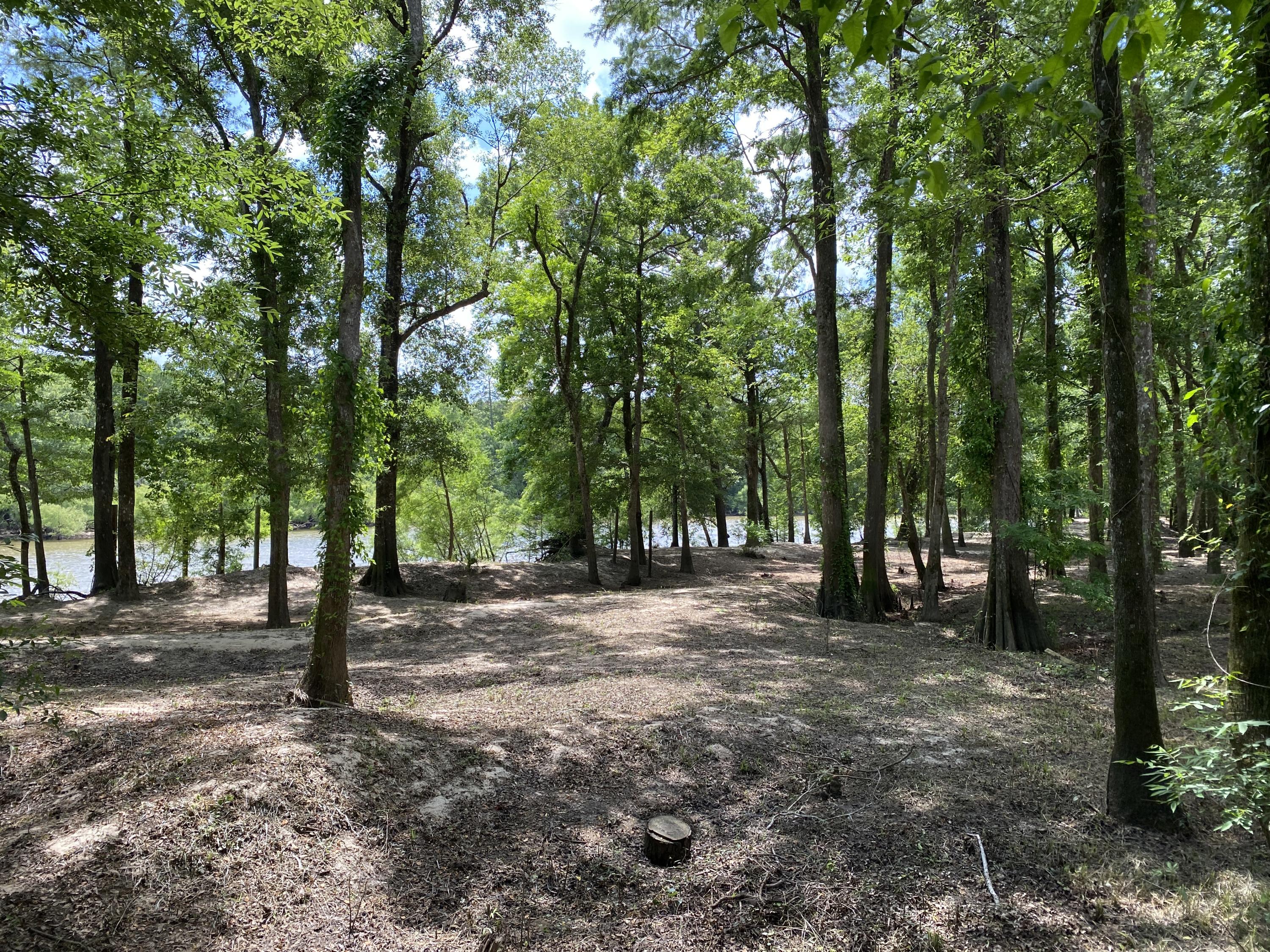 HOWELLS BLUFF - Residential