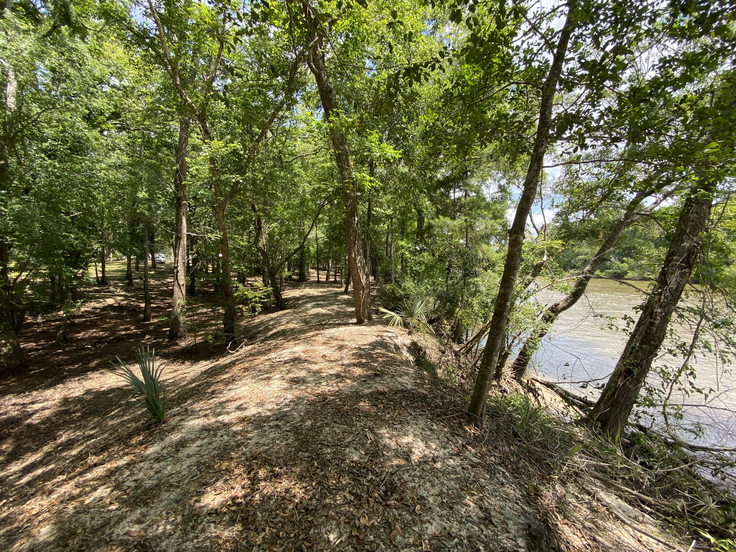 HOWELLS BLUFF - Residential