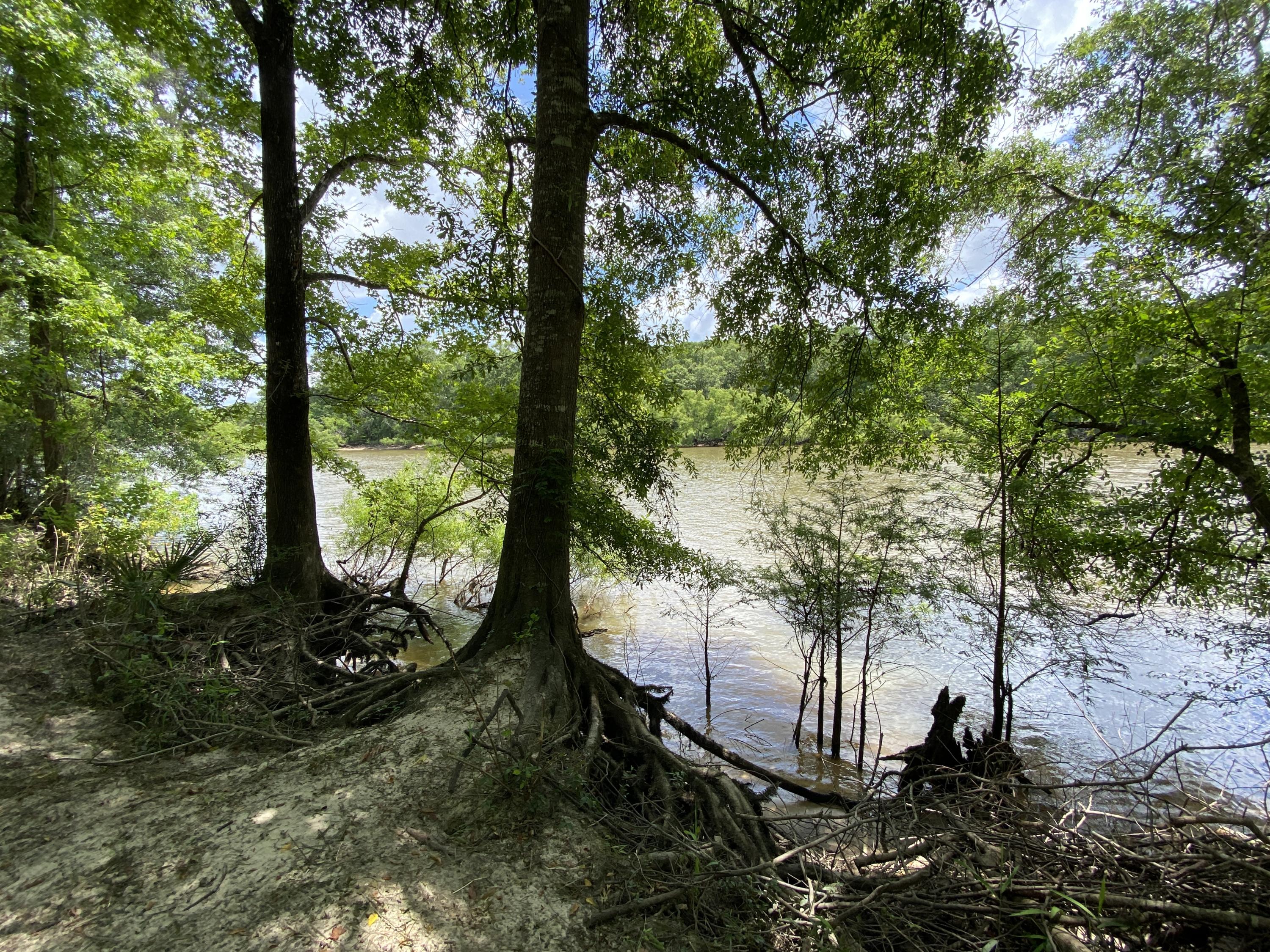 HOWELLS BLUFF - Residential