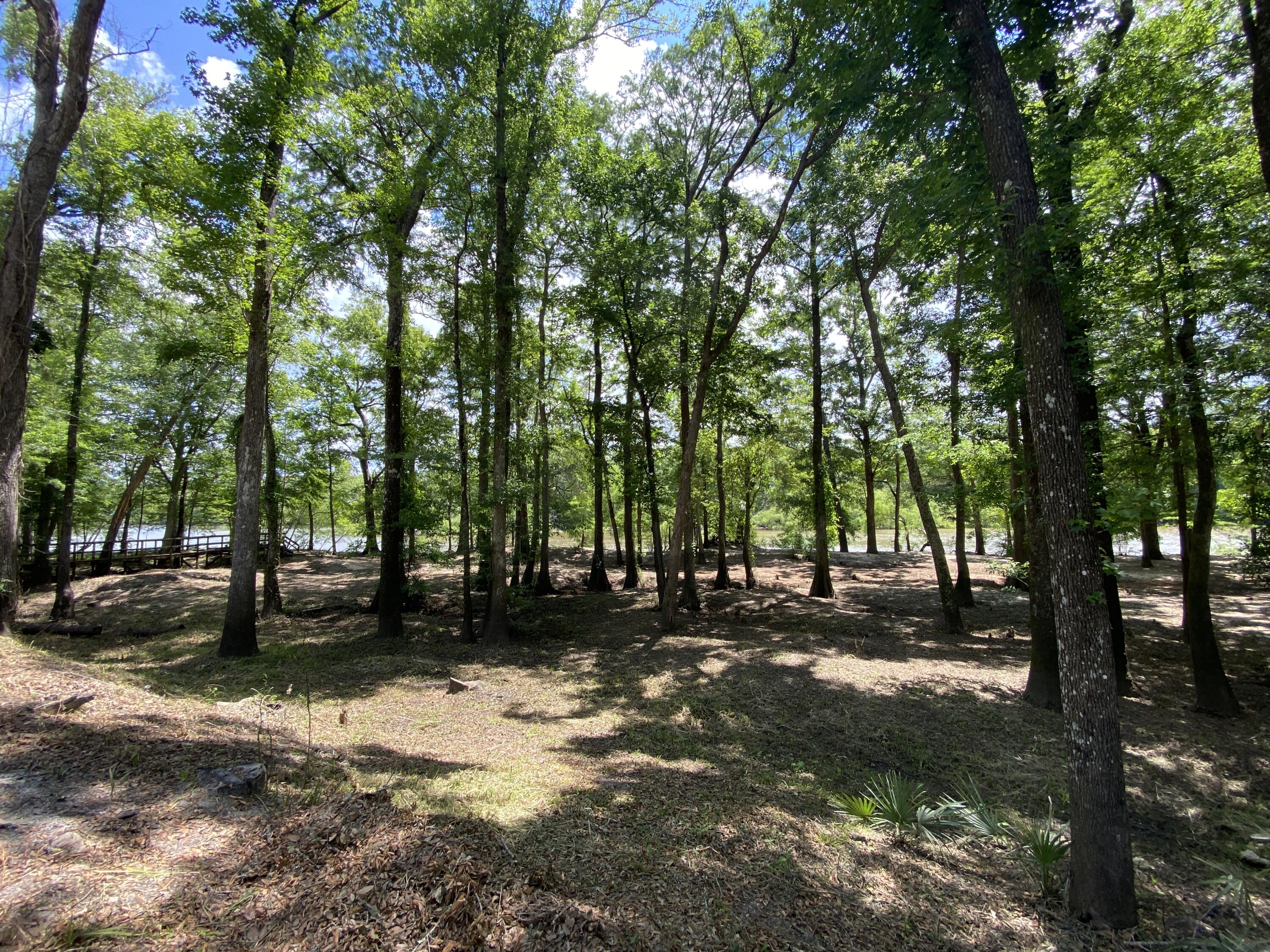 HOWELLS BLUFF - Residential