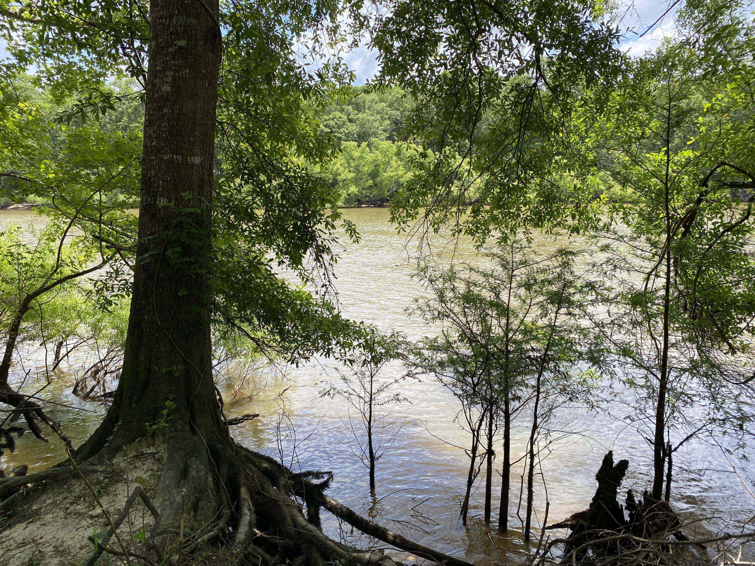 HOWELLS BLUFF - Residential