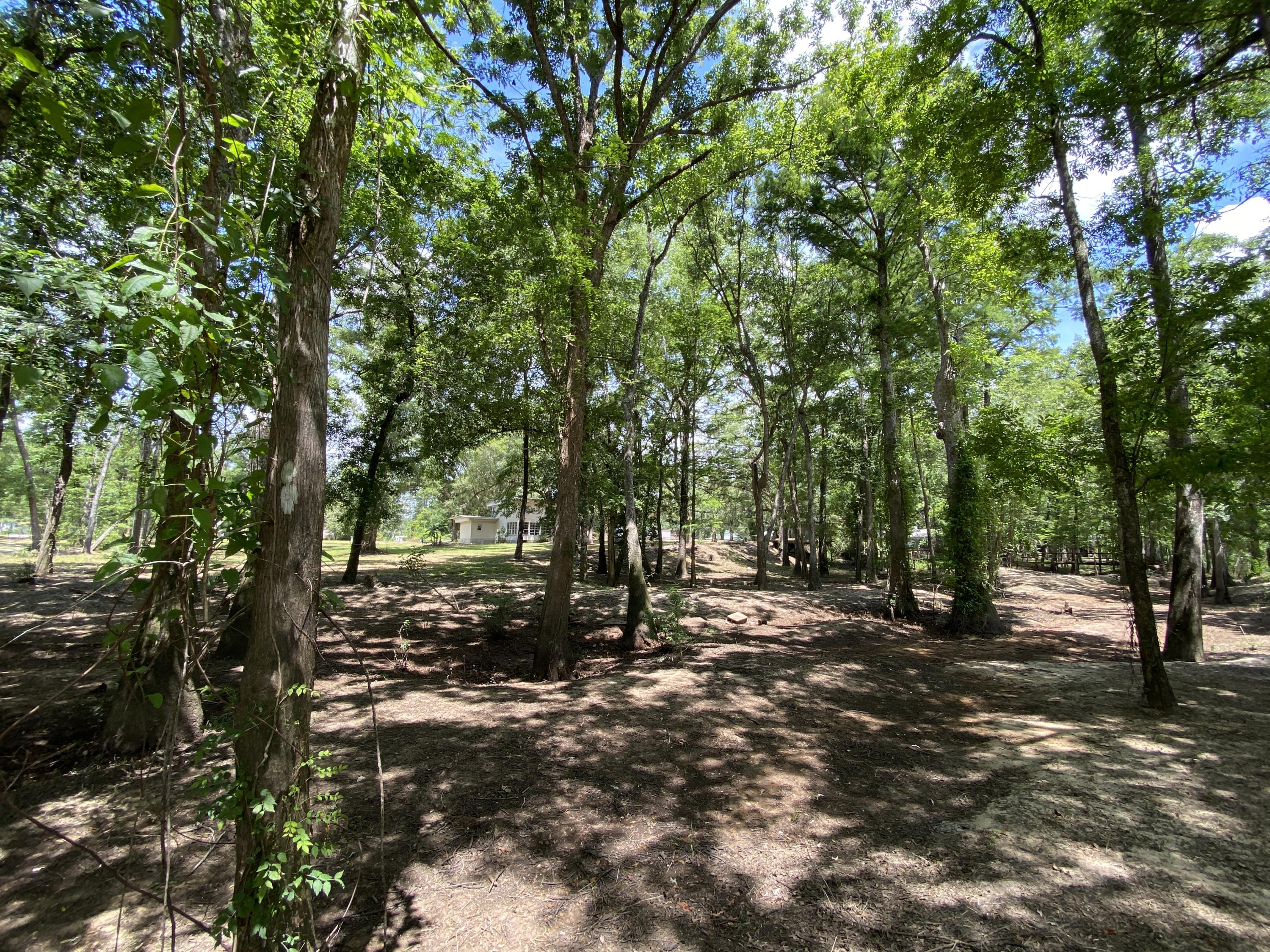 HOWELLS BLUFF - Residential