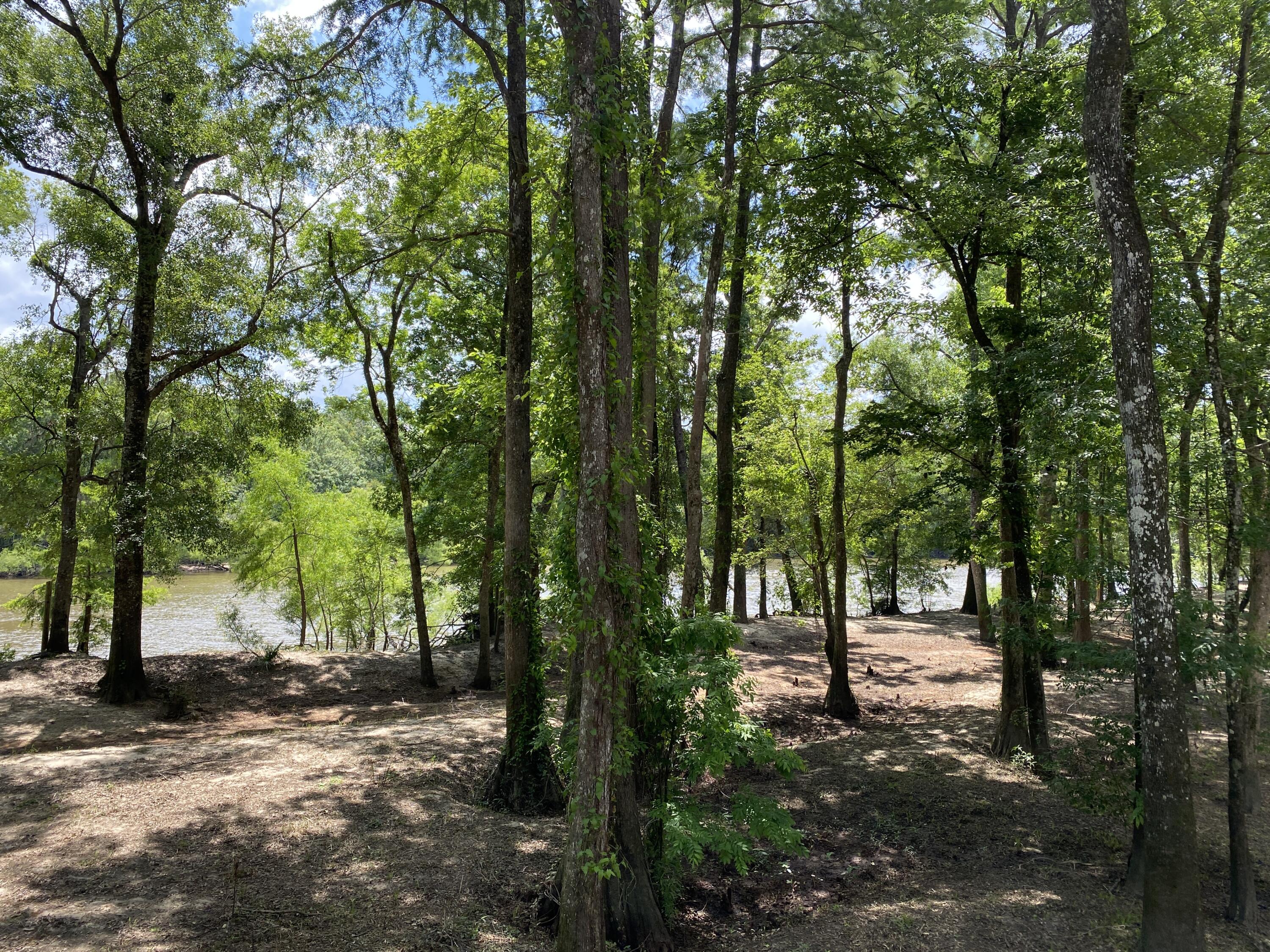 HOWELLS BLUFF - Residential