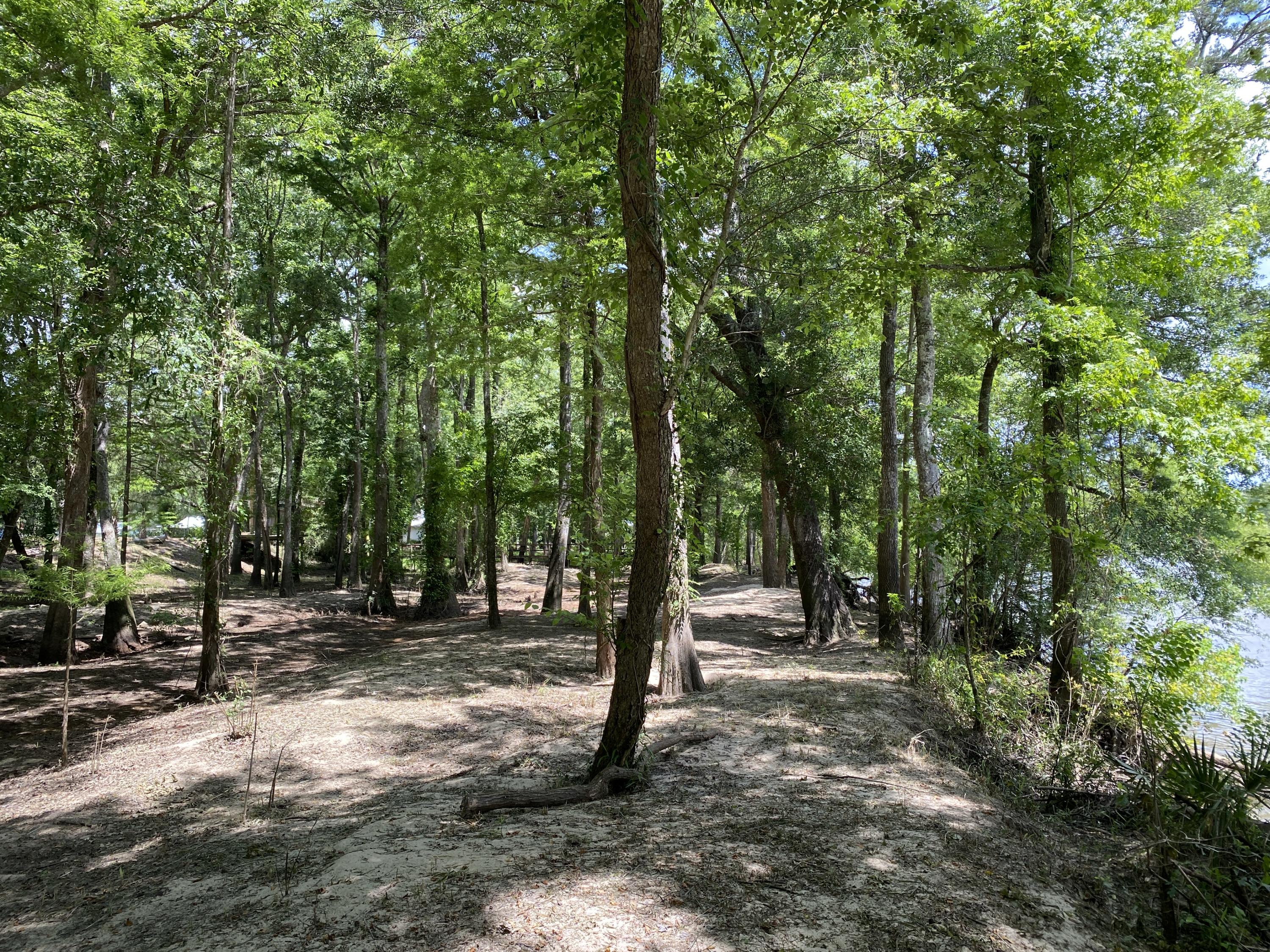 HOWELLS BLUFF - Residential