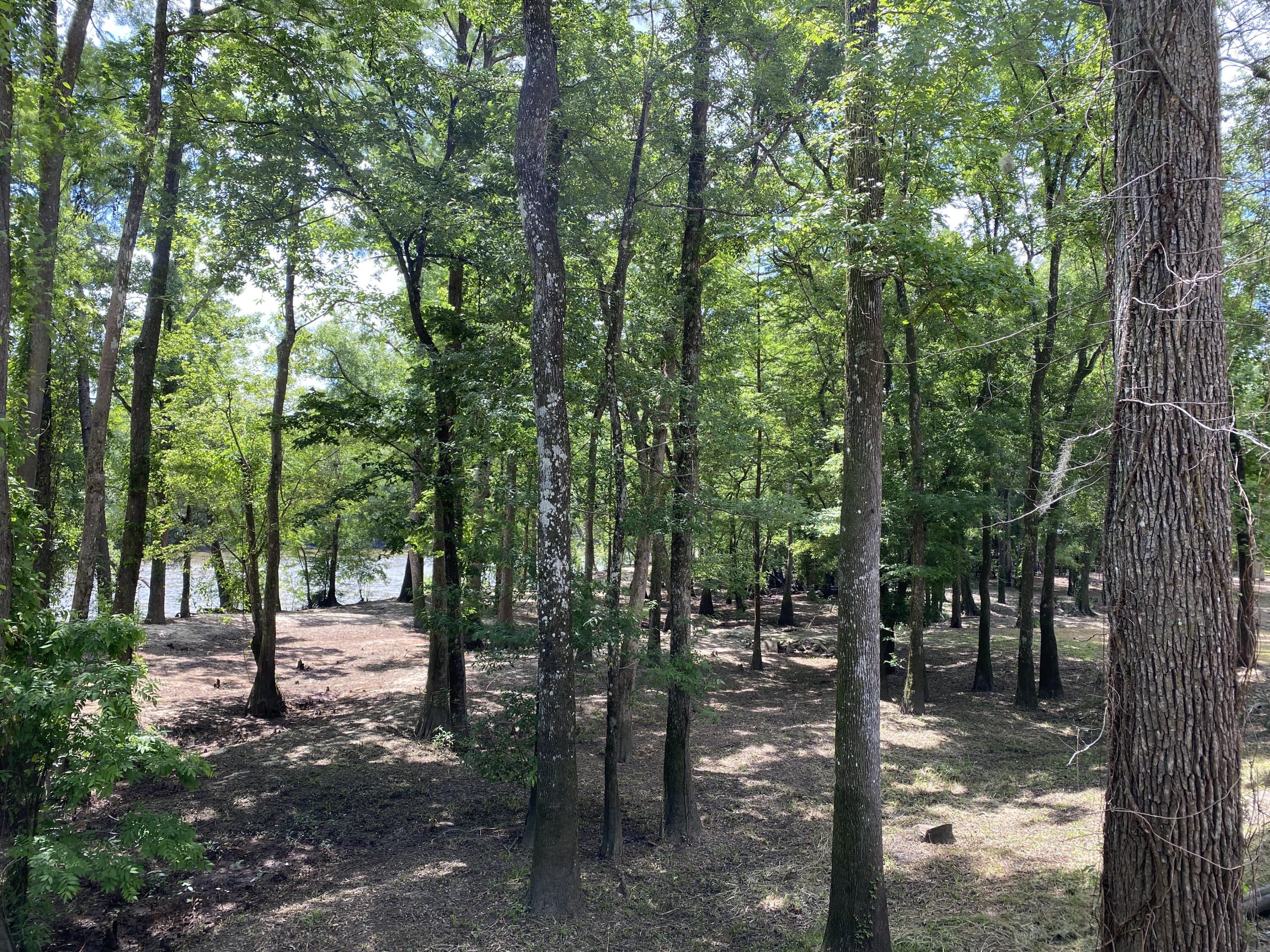 HOWELLS BLUFF - Residential