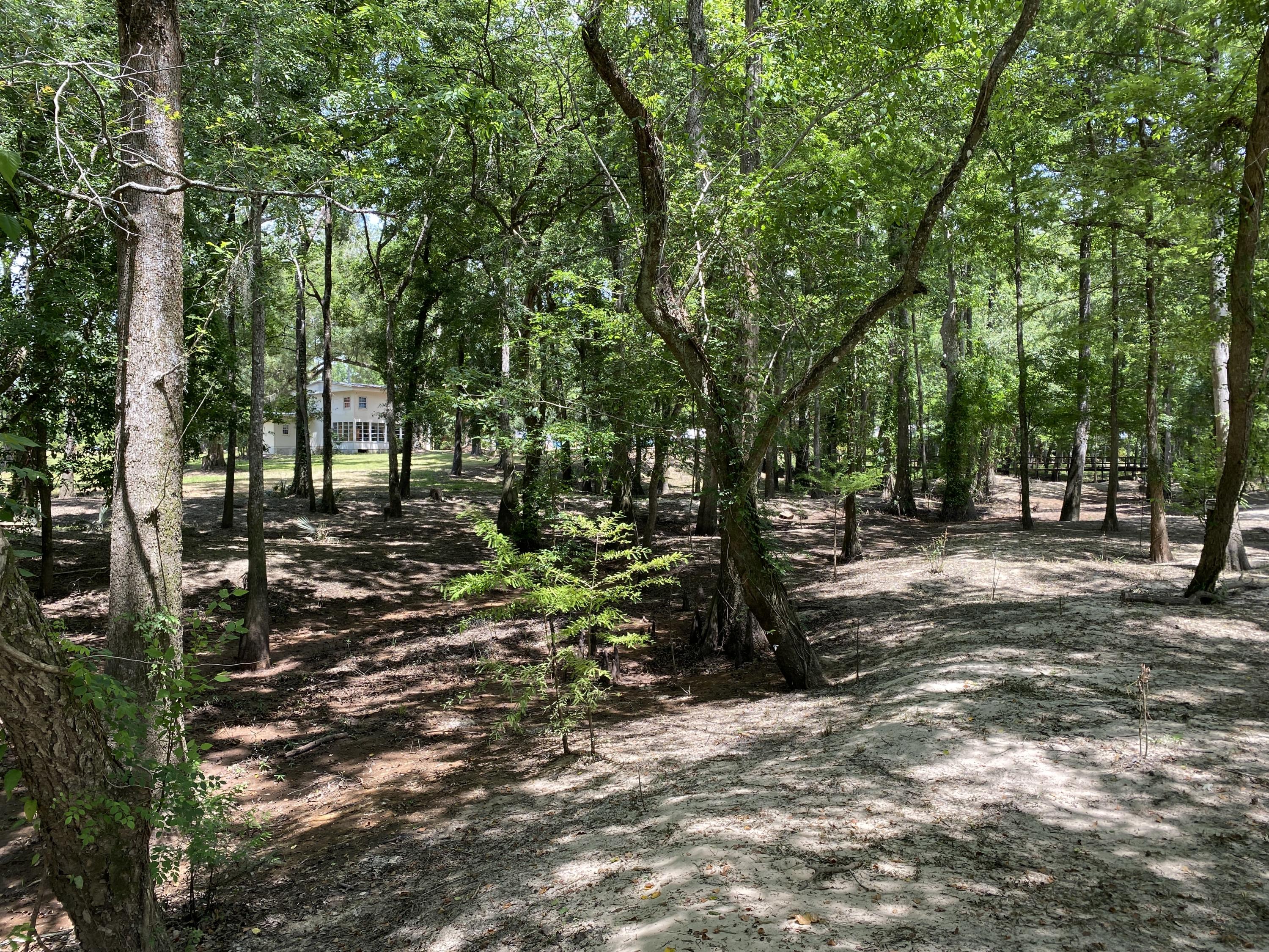 HOWELLS BLUFF - Residential