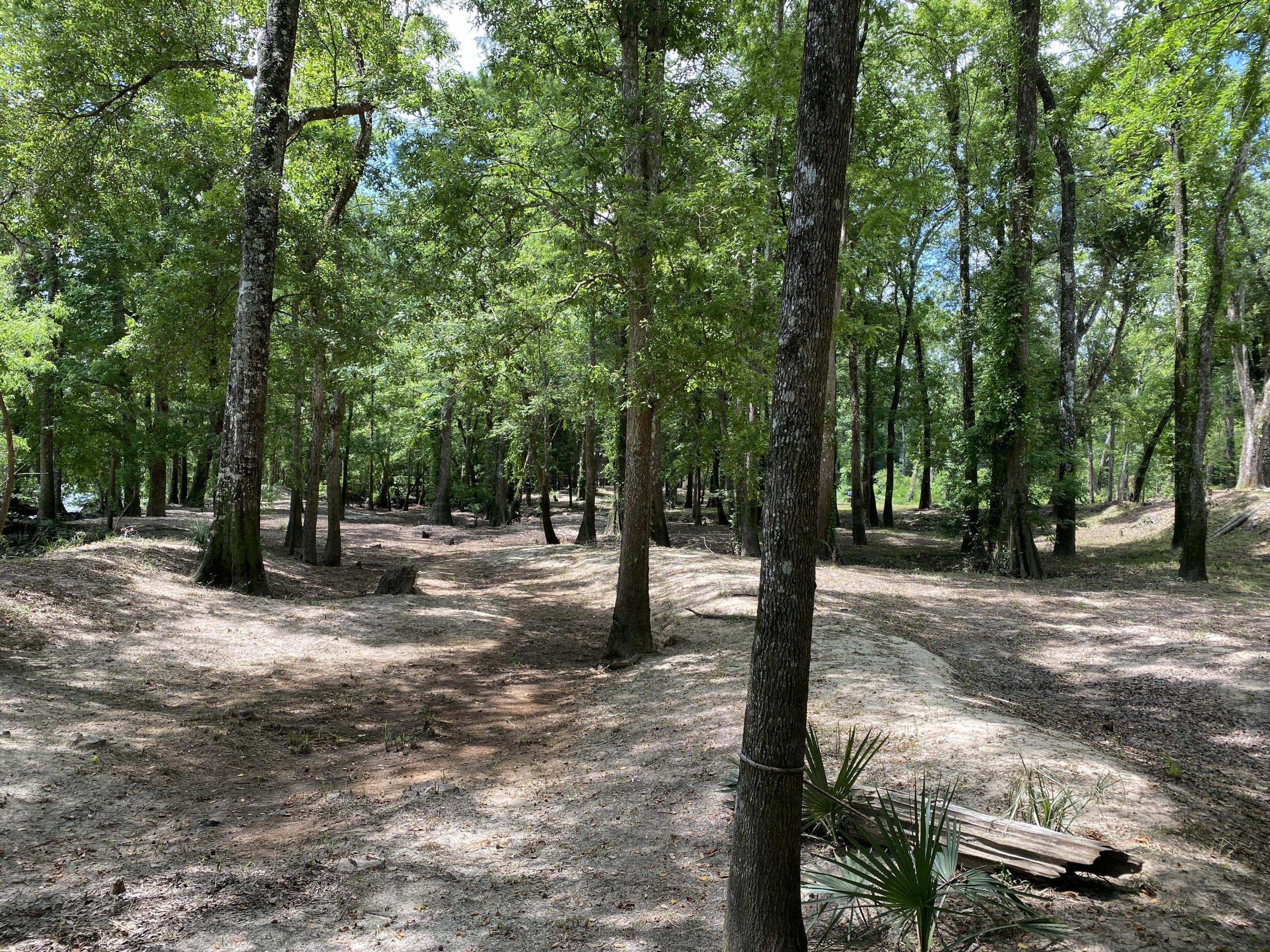 HOWELLS BLUFF - Residential