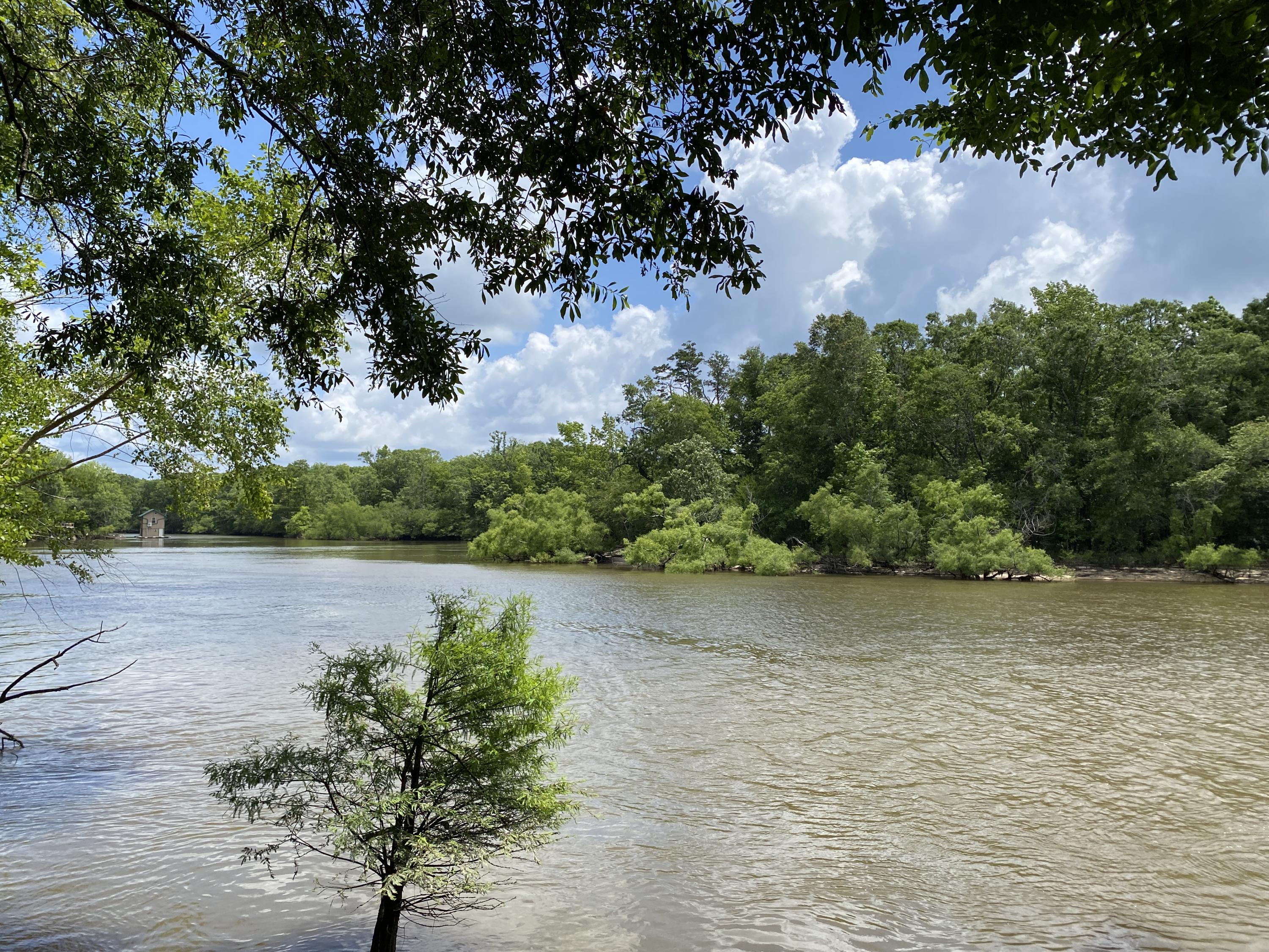 HOWELLS BLUFF - Residential