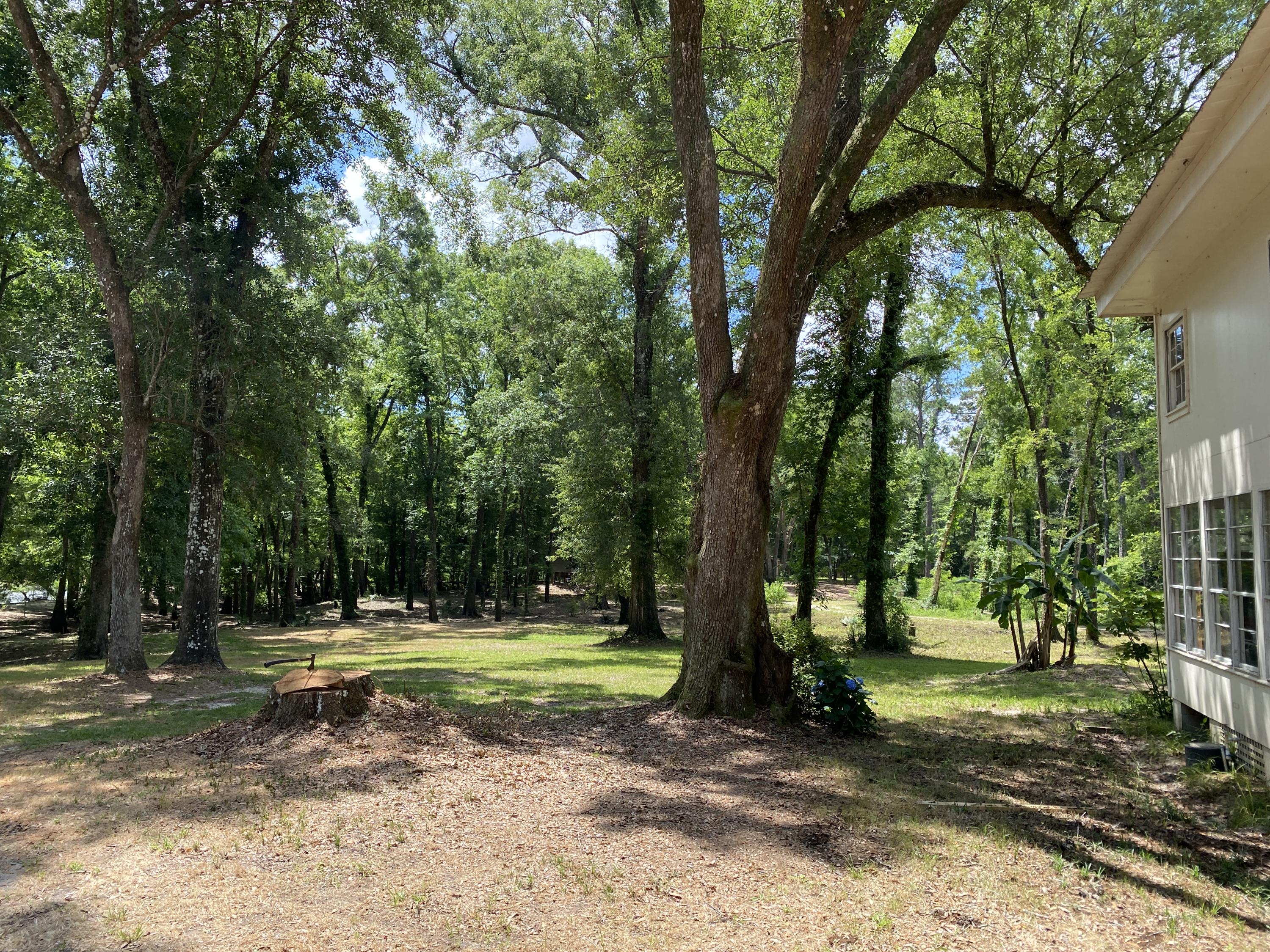 HOWELLS BLUFF - Residential