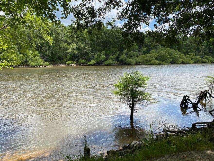 Outdoor enthusiast, check out this unique opportunity!!! This is an extreamly rare buy. Almost 4 acres right on the Choctawatchee River. Yes, you are getting a home, almost 4 acres, and 350 Feet of water frontage with direct access to the Choctawatchee River! This property is convieniently located about 16 minutes from the Northwest Florida Beaches International airport. Only 20 minutes from the amazing shopping center Pier Park in Panama City Beach. Pier Park features over 100 shopping and dining options. Just 5 minutes from this property you have the beautiful Pine Log State forest featuring RV and primitive camping, over 13 miles of hiking trails, 9 miles of horse trails, and activities always being held. The Choctawatchee River Water Management Area consists of over 57,000 Acres.