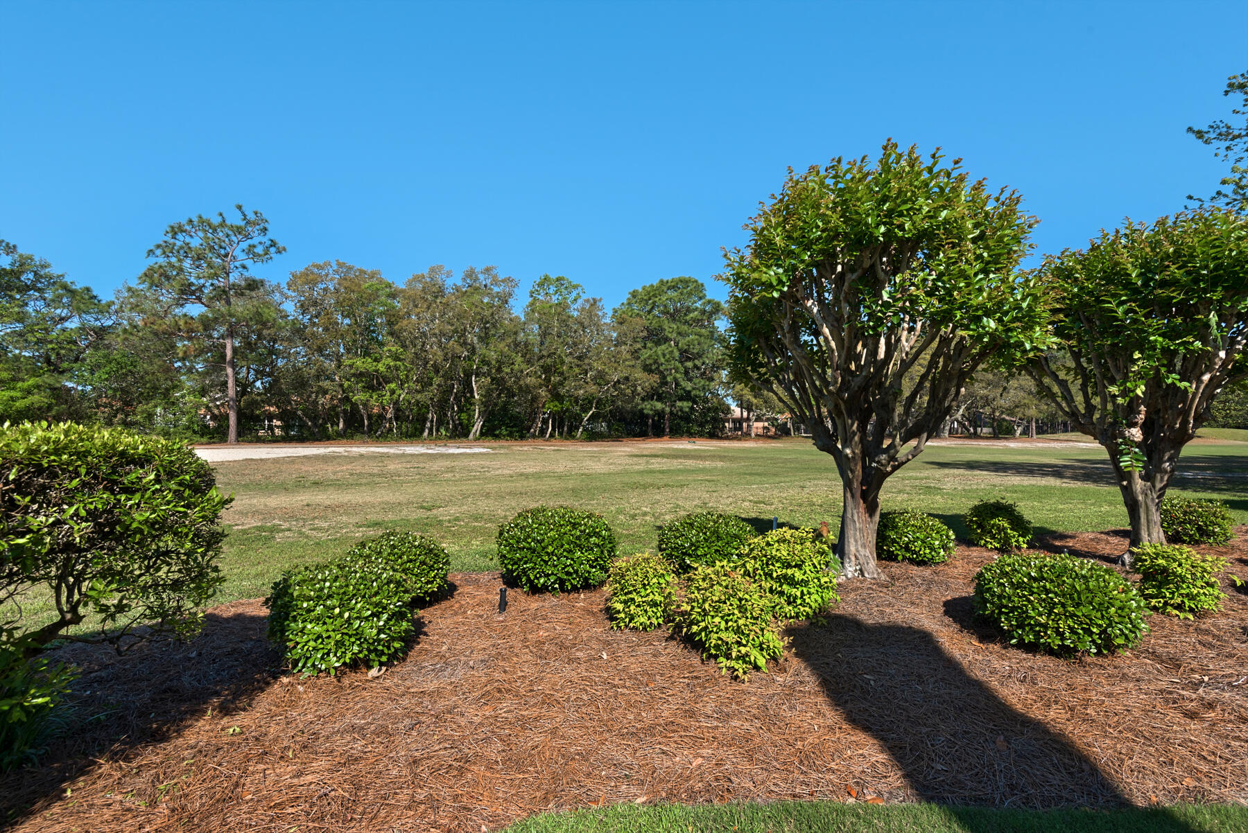 SHALIMAR POINTE PH 1 - Residential