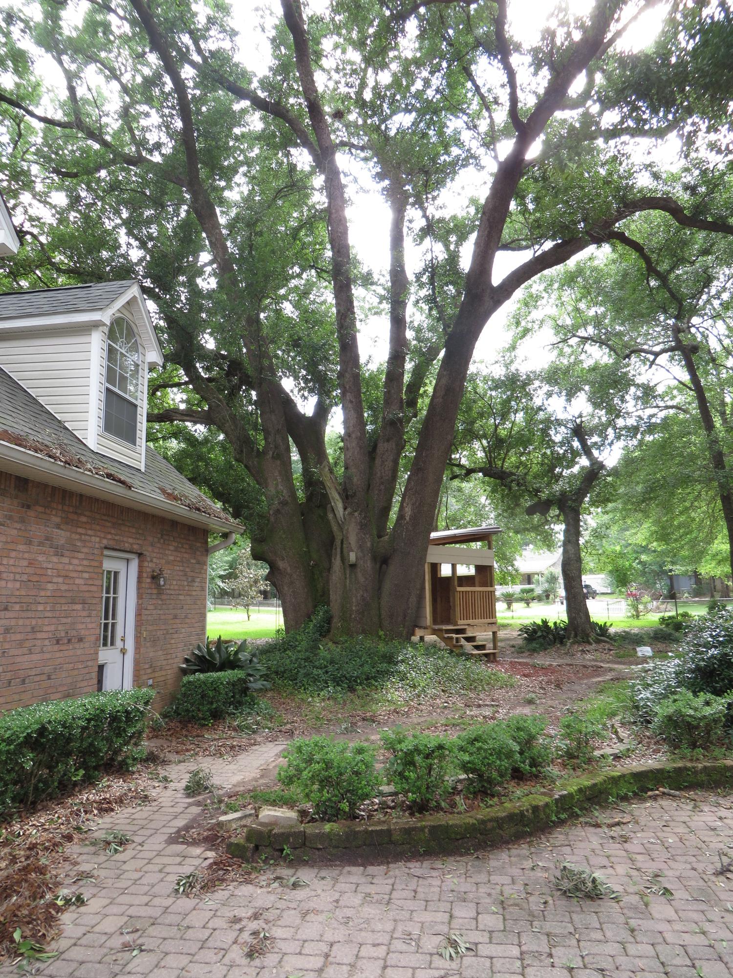 STAFFORD ESTATES - Residential