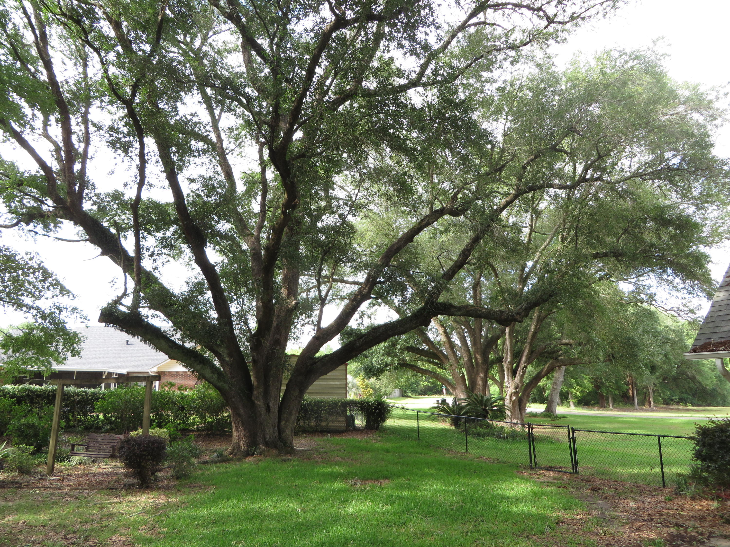 STAFFORD ESTATES - Residential