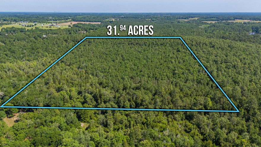 Large wooded parcel, approximately 32 acres. A hunter's paradise, very secluded, ideal for building a secluded retreat or dream home, offering ample privacy. I believe there is a creek running along the edge, although buyer verification is required. Additional acreage is available, totaling approximately 69 acres. Please inquire for pricing.