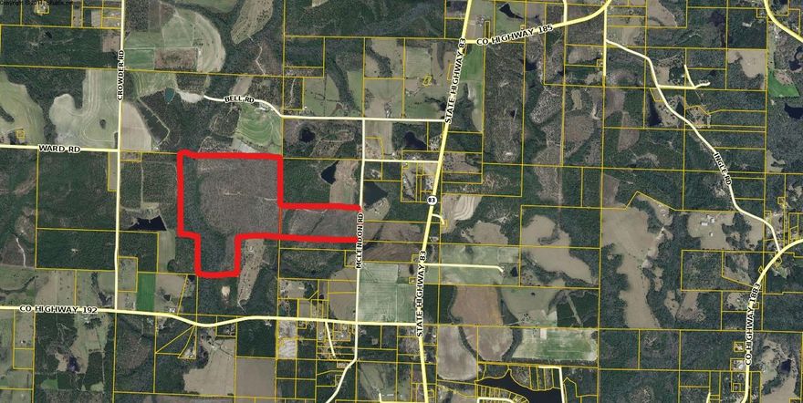 310 +/- minutes from downtown Defuniak and 30 minutes from the beach. Timber was cut three years ago and two year old Long leaf pine has been replanted. Stream runs long the back of the property which remains uncut. Build an home, hunting camp, our purchase for investment! Wildlife abounds!
Electricity is available at McLendon road that fronts this tract. Buyer to verify acreage and property condition and suitability for buyers intended use.