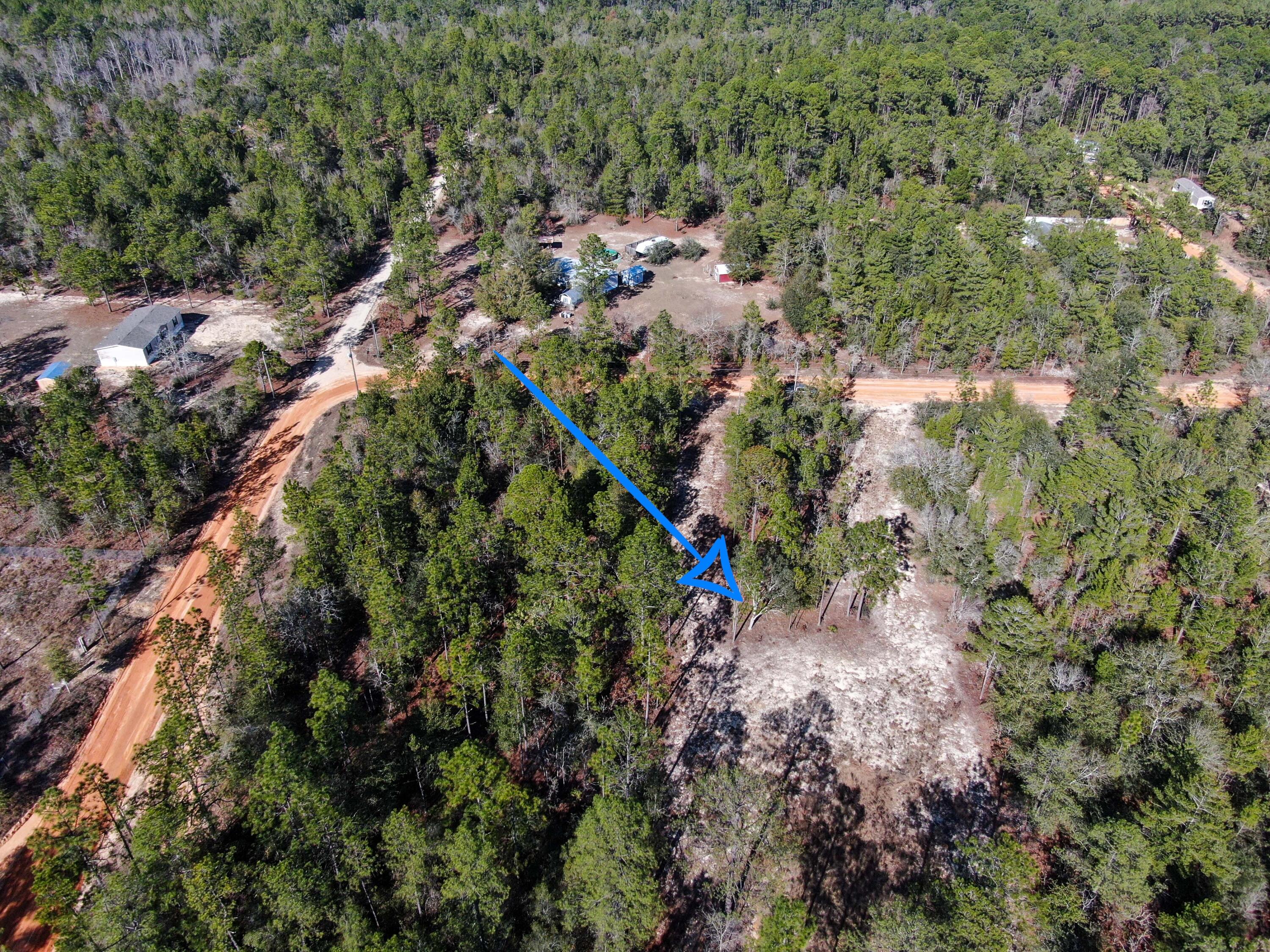 Located in the rapidly growing Mossy Head area and 10 minutes from the beautiful town of DeFuniak Springs. Just a little over 2 acres of lush landscape, including mature tall pines and an area already cleared for a future home site. Enjoy nature at its best listening to the sound of the flowing. stream through the back of the property! County maintained road, easy access and electric at the road. You will need to put in a well and septic. Don't miss out on this beautiful piece of property at this price! It wont last long!