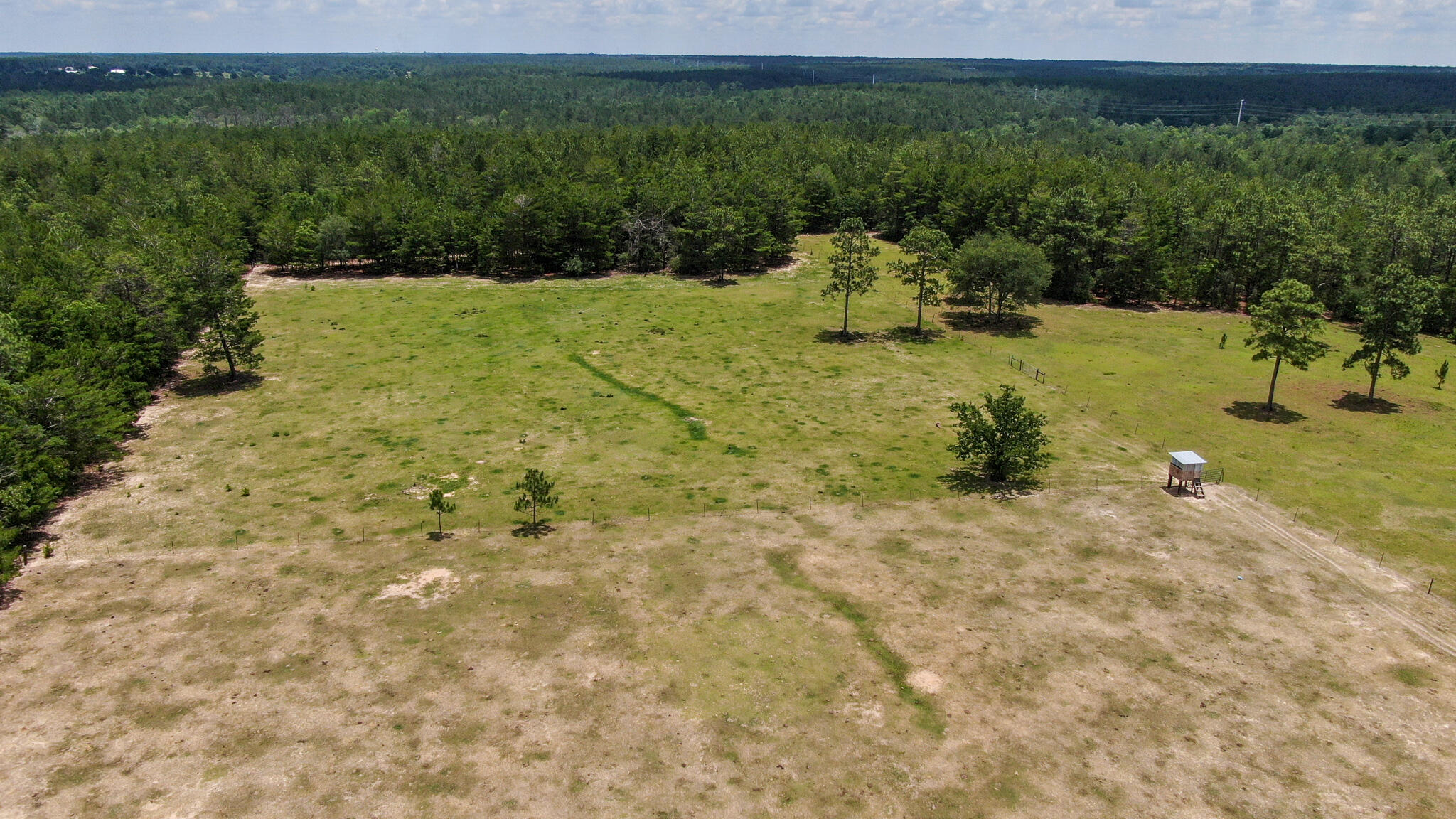 LOT 43 DELAWARE PLANTATIONS S/D PHASE TWO - Farm