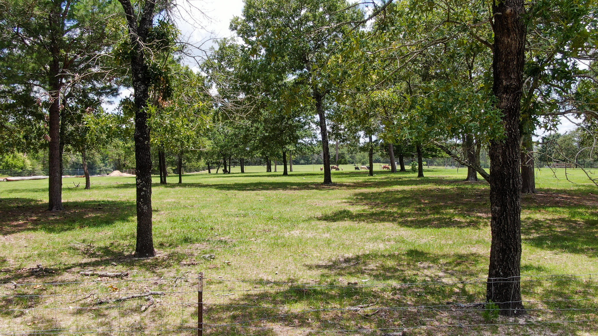 LOT 43 DELAWARE PLANTATIONS S/D PHASE TWO - Farm