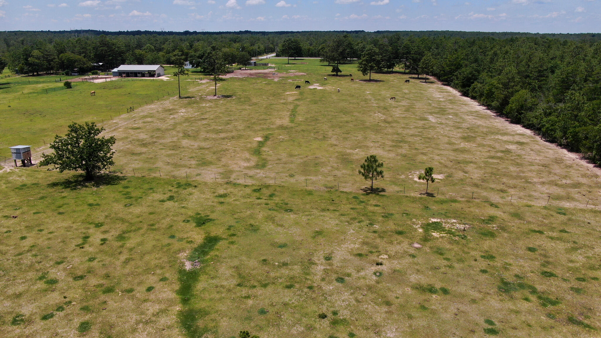 LOT 43 DELAWARE PLANTATIONS S/D PHASE TWO - Farm