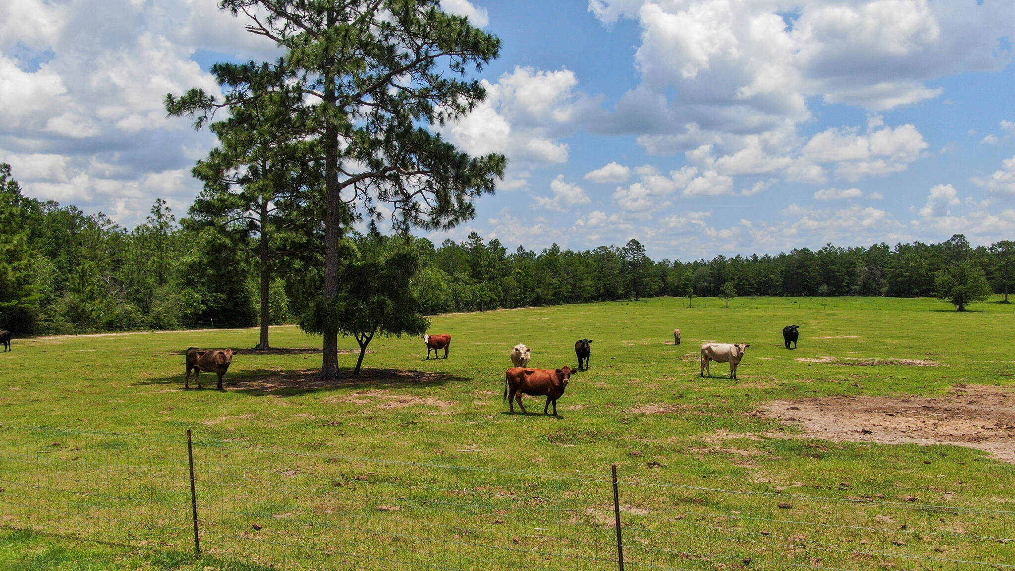 LOT 43 DELAWARE PLANTATIONS S/D PHASE TWO - Farm