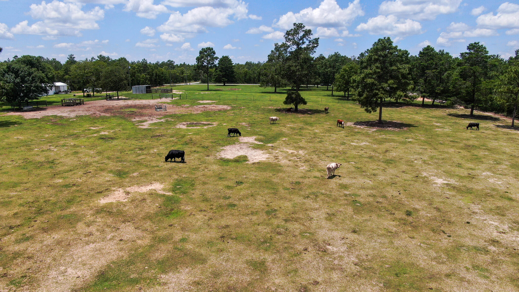 LOT 43 DELAWARE PLANTATIONS S/D PHASE TWO - Farm
