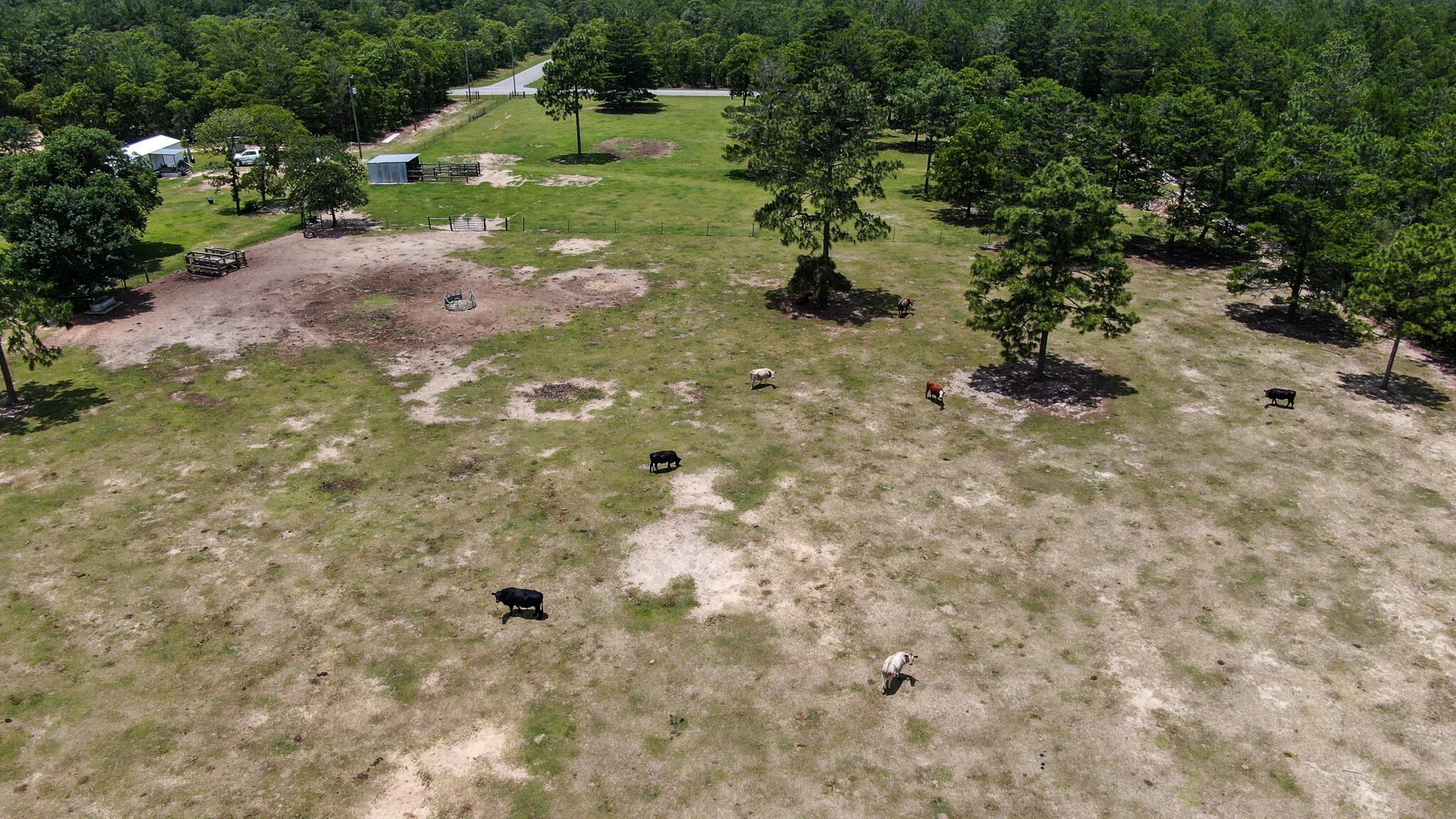 LOT 43 DELAWARE PLANTATIONS S/D PHASE TWO - Farm