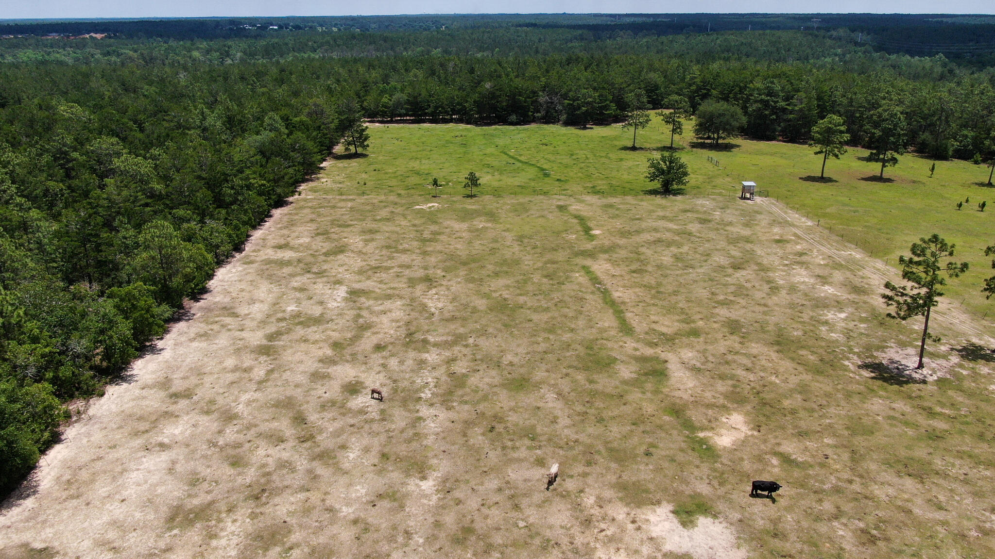 LOT 43 DELAWARE PLANTATIONS S/D PHASE TWO - Farm