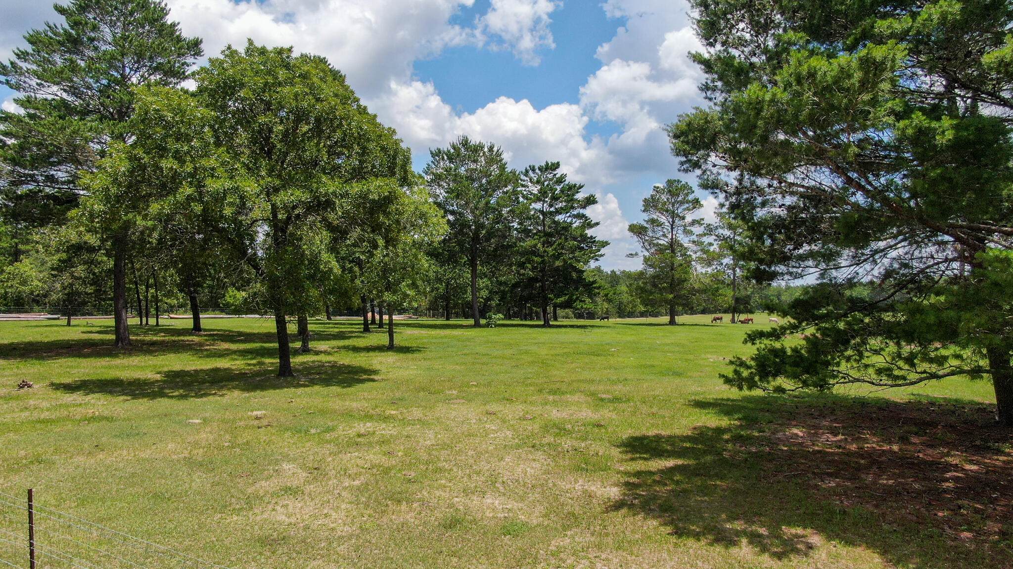 LOT 43 DELAWARE PLANTATIONS S/D PHASE TWO - Farm
